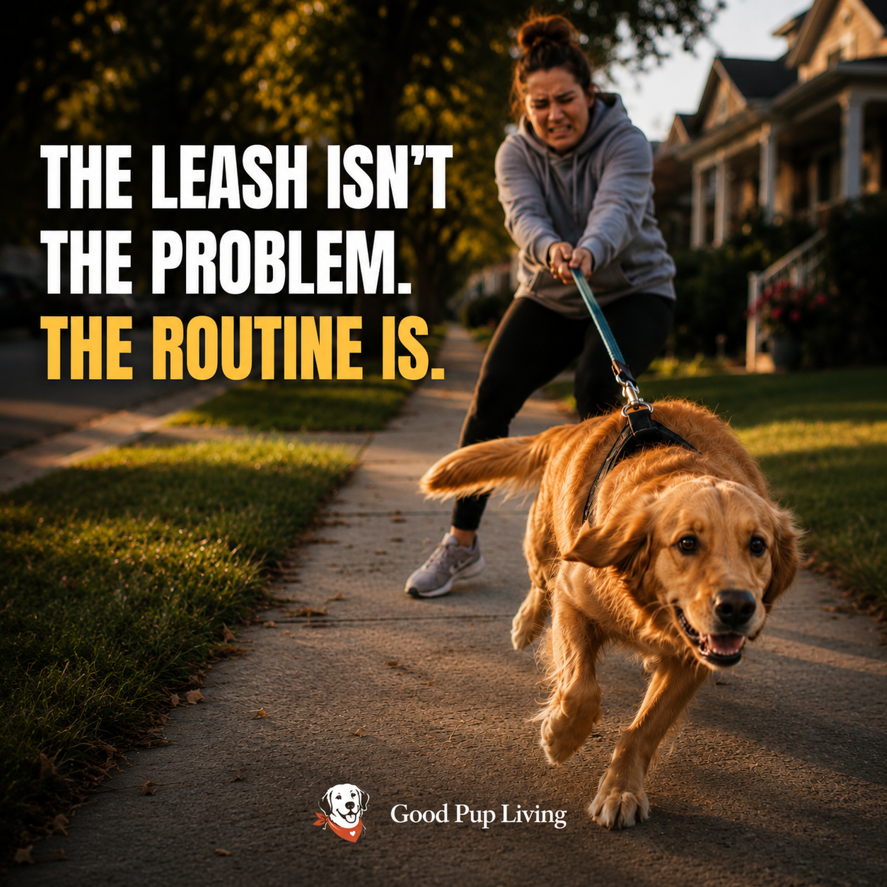 Dog pulling on leash during a walk with a frustrated dog parent in a neighborhood setting.