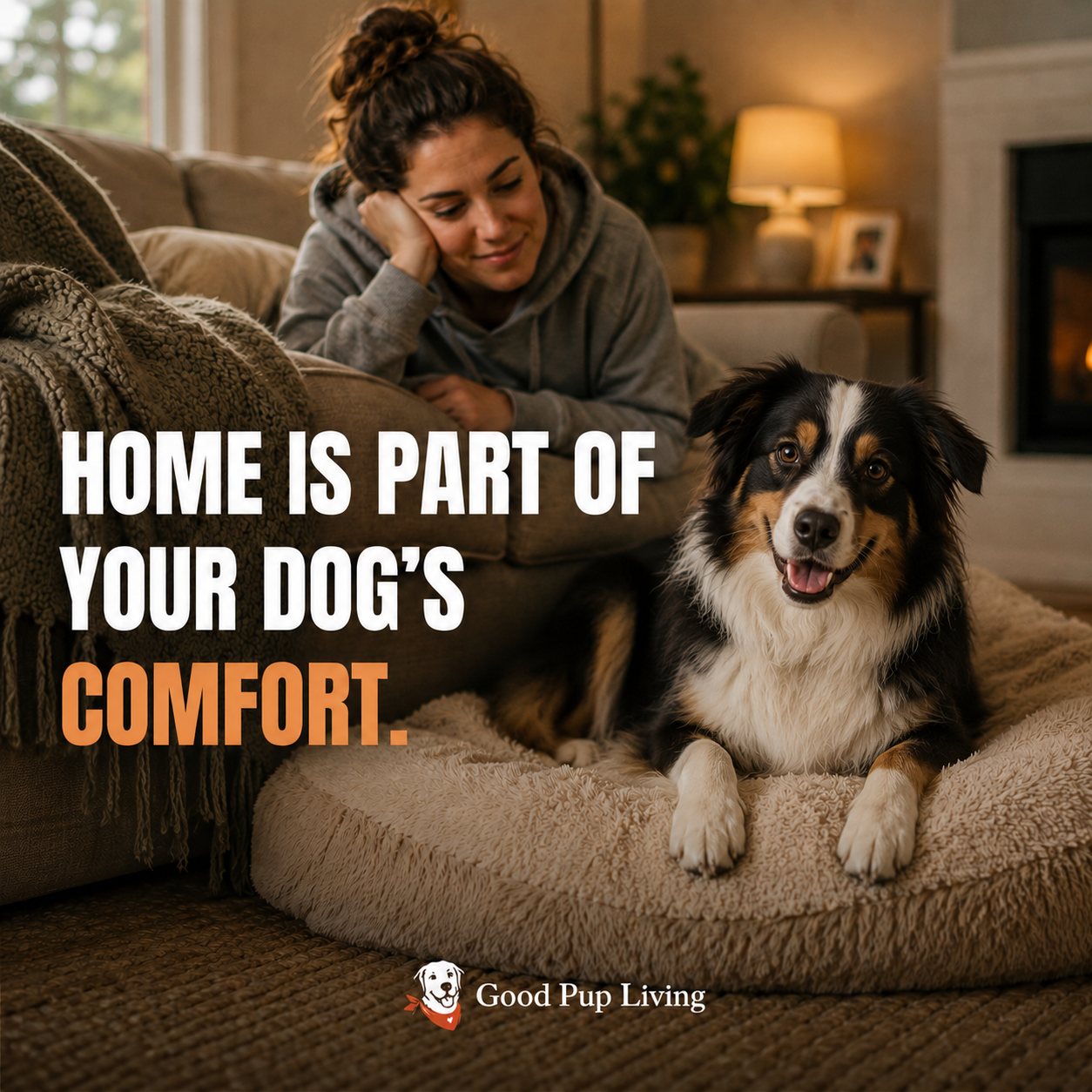 Dog resting comfortably in a cozy home space with soft bedding and everyday comfort essentials.
