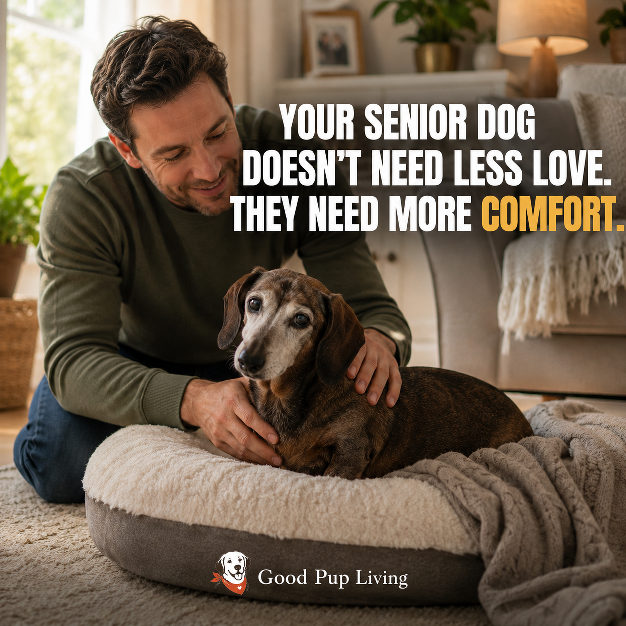 Senior dog resting comfortably at home with supportive bedding and gentle everyday care essentials.