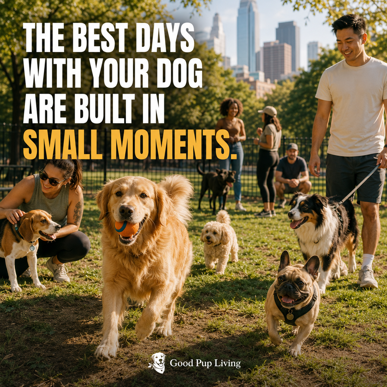 Dog parent enjoying a peaceful everyday moment at home with a happy dog nearby.