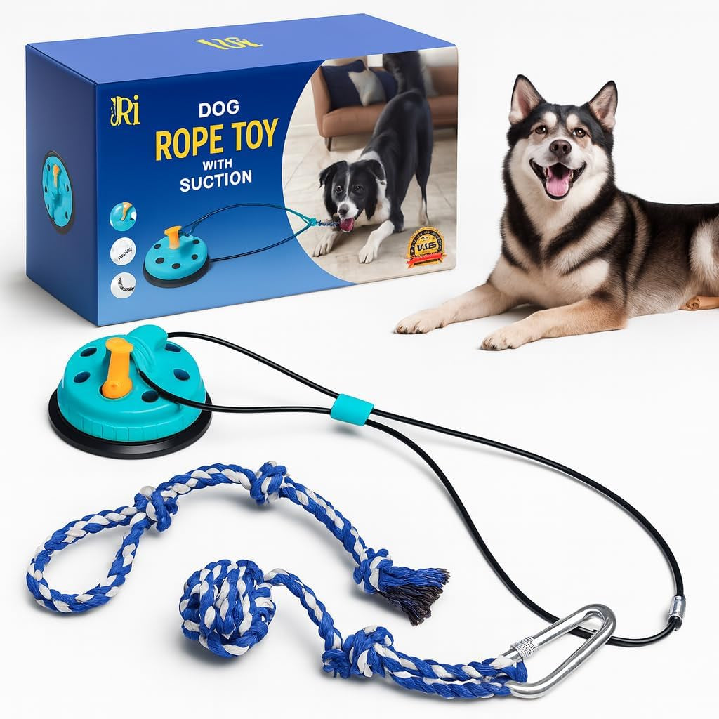 Dog rope and tug toy set with knotted ropes, suction base, and pulling attachments on a white background.