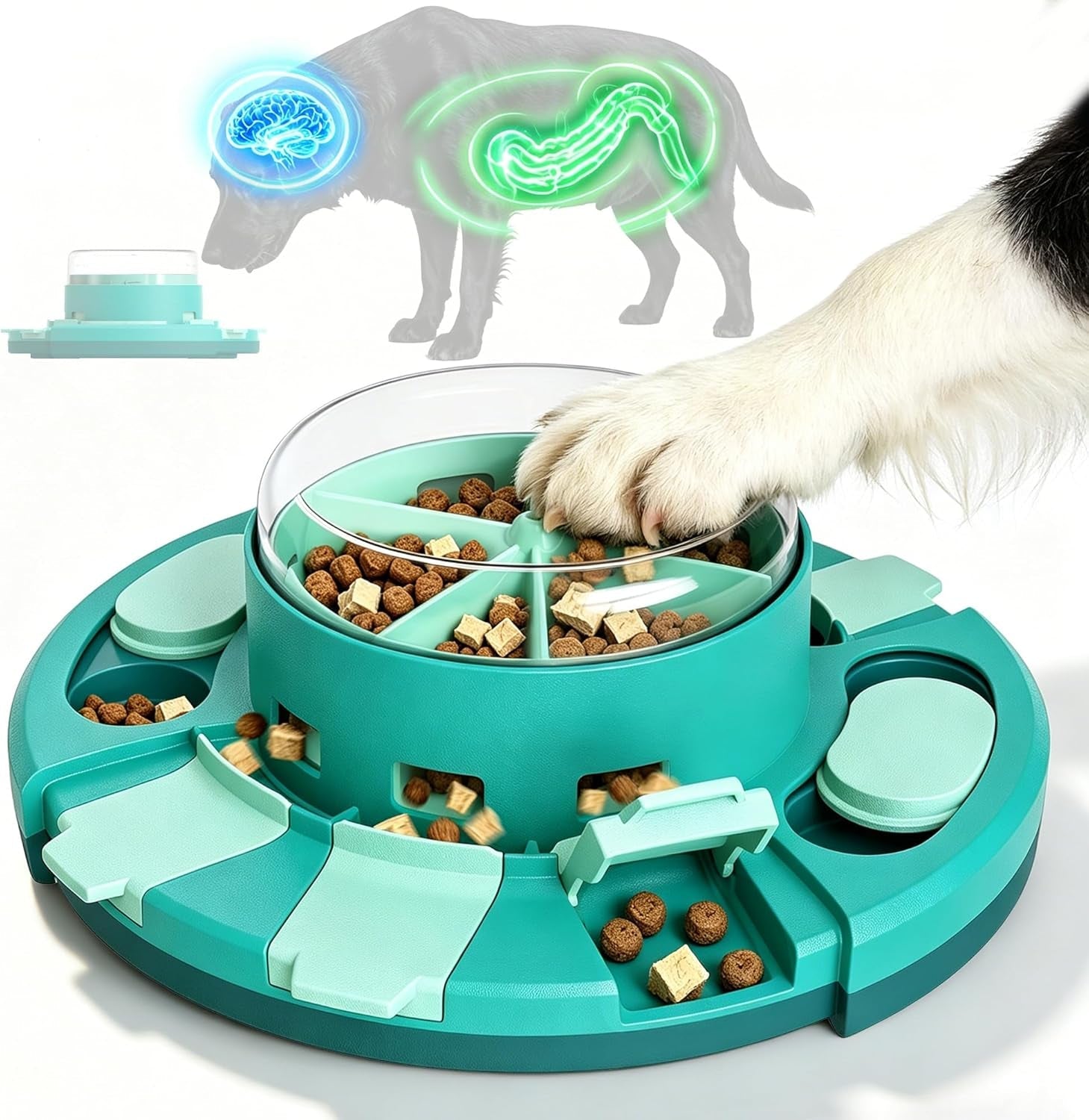 Teal dog puzzle feeder with sliding treat compartments and a dog paw interacting with the puzzle.