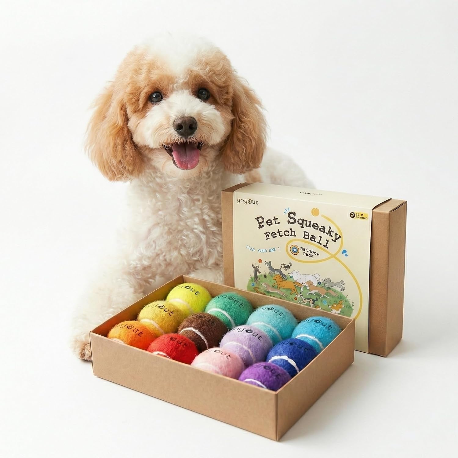 Squeaky Fetch Balls for Dogs, Rainbow Dog Ball Box, Multicolor Tennis Balls for Dogs, 12 Count Gift-Ready Set, 2.5 Inch Large