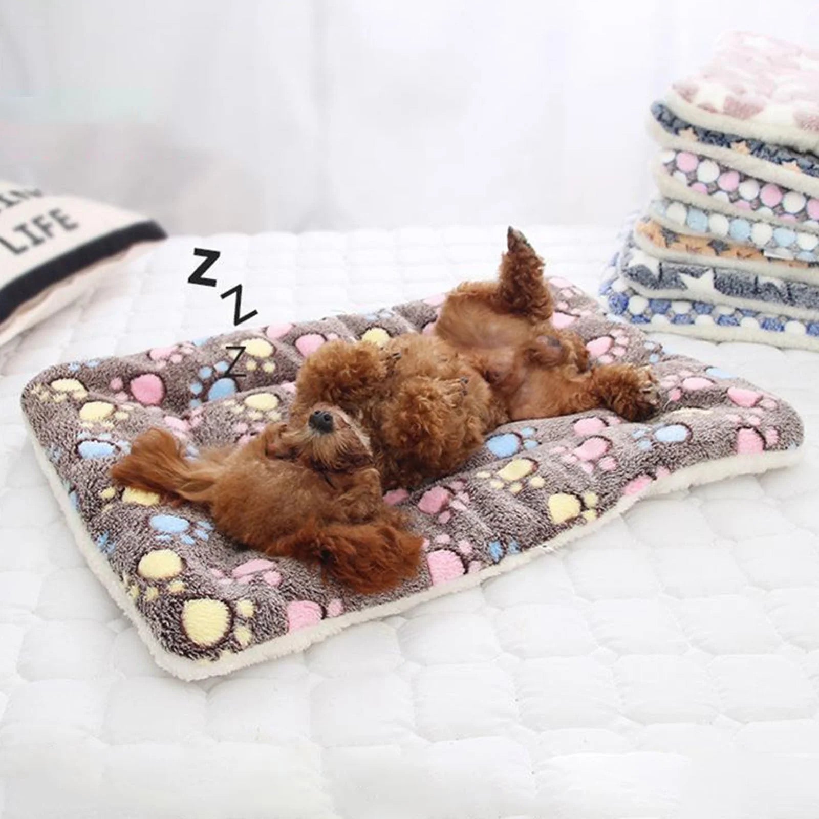 New Pet Essentials Ultra Soft Warm Dog Bed Mat Indoor Dog Pads, Machine Washable Dog Crate Mat, Kennel Pad for Dog Sleeping Mattress for Small Dogs,24X20Inch