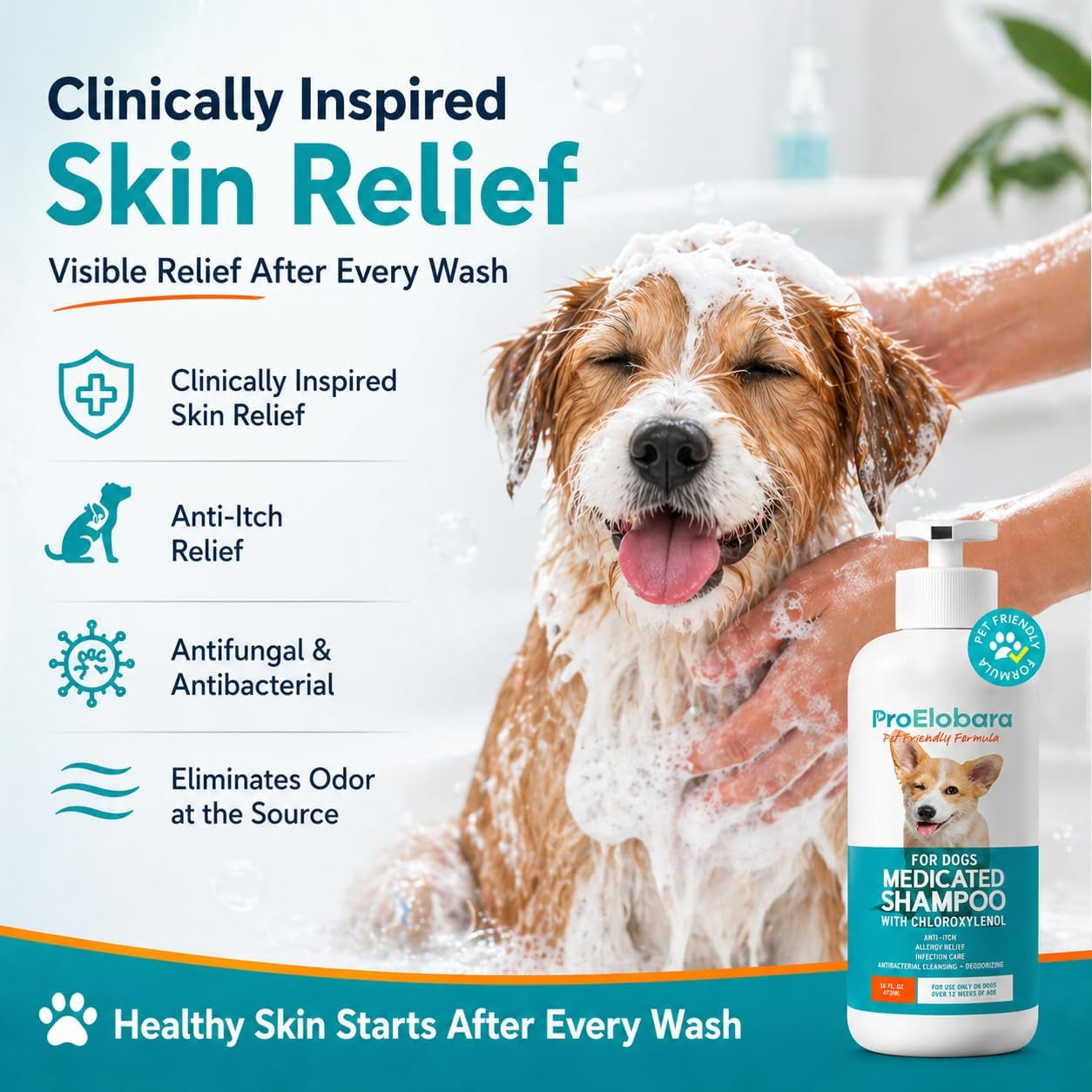 Medicated Dog Shampoo for Allergies and Itching: Antifungal Dog Shampoo, Yeast Infection and Bacterial Treatment for Dogs - Helps Hot Spots, Deodorizing and anti Itch - Healthy Skin & Coat 16 OZ