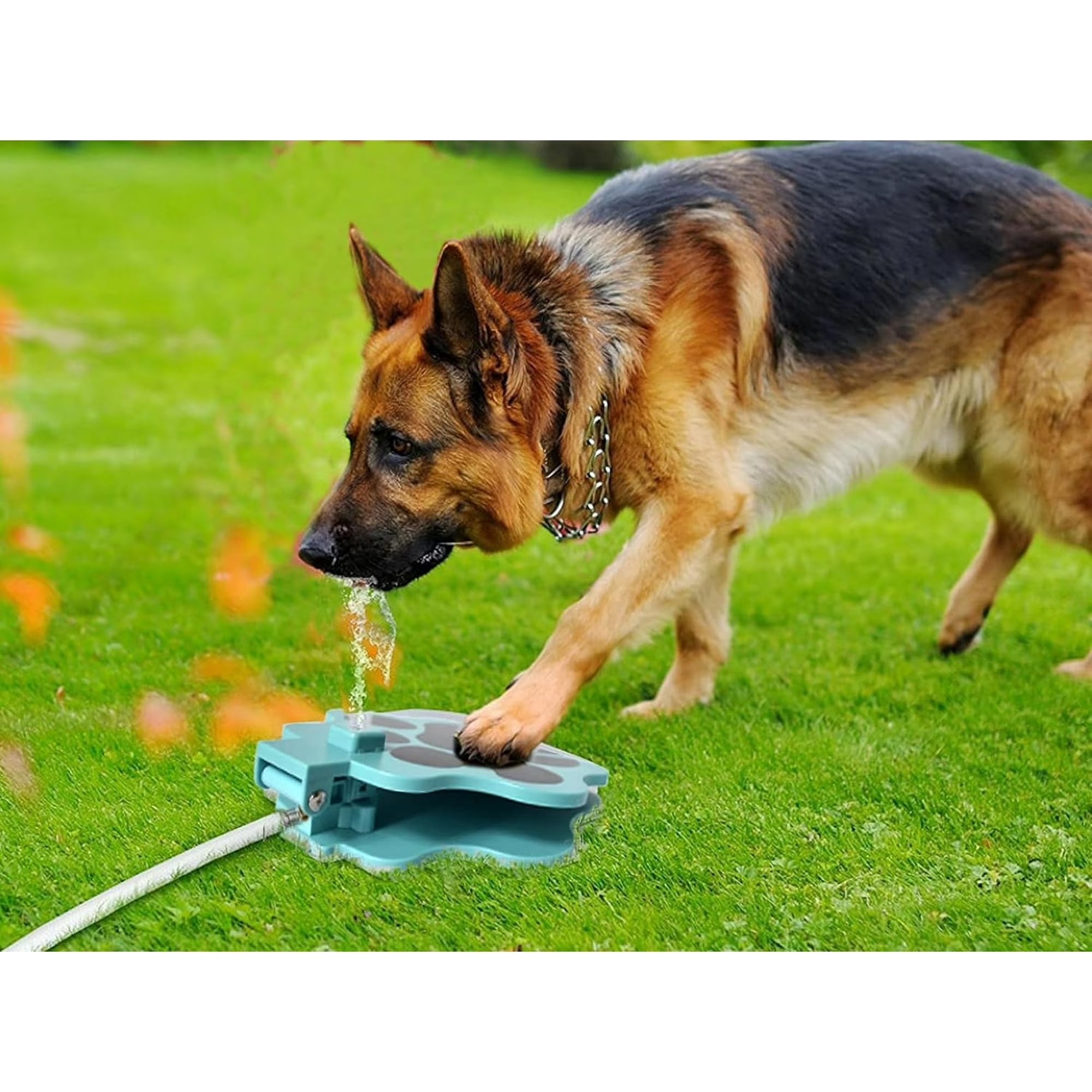 Dog Water Fountain and Sprinkler, Outdoor Pet Dog Step on Water Dispenser with Hose, Multifunctional Paw Activated Drinking Fountain, Garden Sprinkler Toy, Blue
