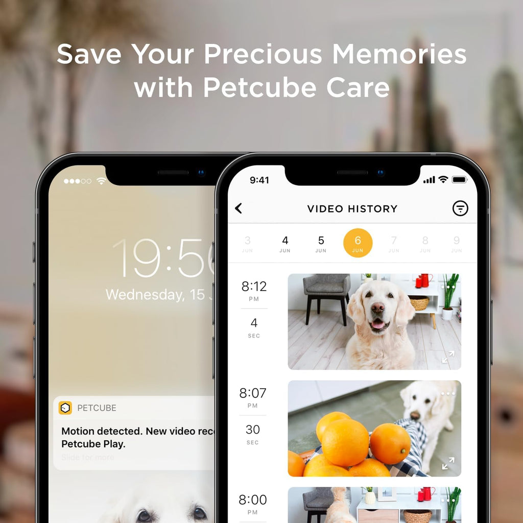 Bites 2 Lite Interactive Wifi Pet Monitoring Camera with Phone App and Treat Dispenser, 1080P HD Video, Night Vision, Two-Way Audio, Sound and Motion Alerts, Cat and Dog Monitor
