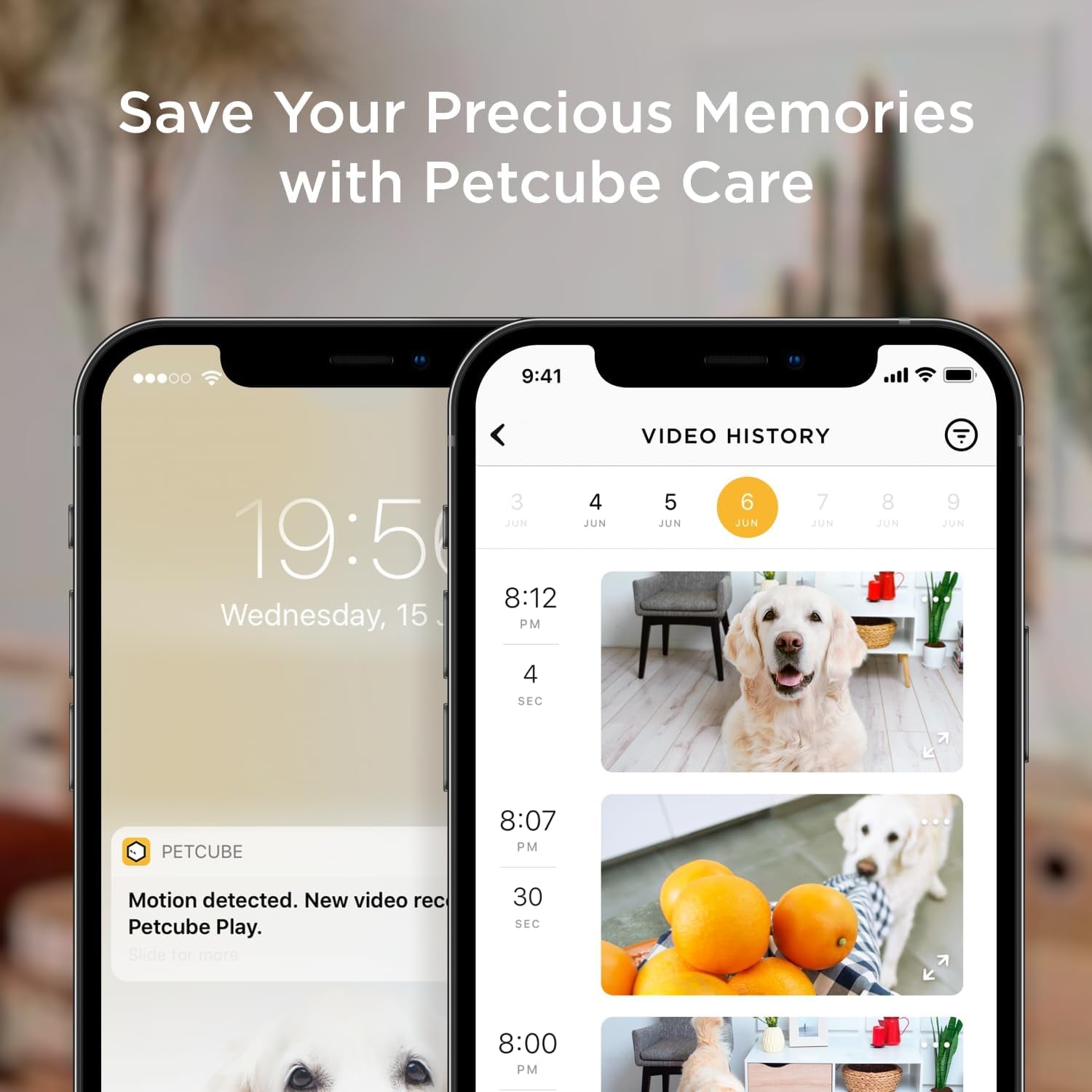 Bites 2 Lite Interactive Wifi Pet Monitoring Camera with Phone App and Treat Dispenser, 1080P HD Video, Night Vision, Two-Way Audio, Sound and Motion Alerts, Cat and Dog Monitor