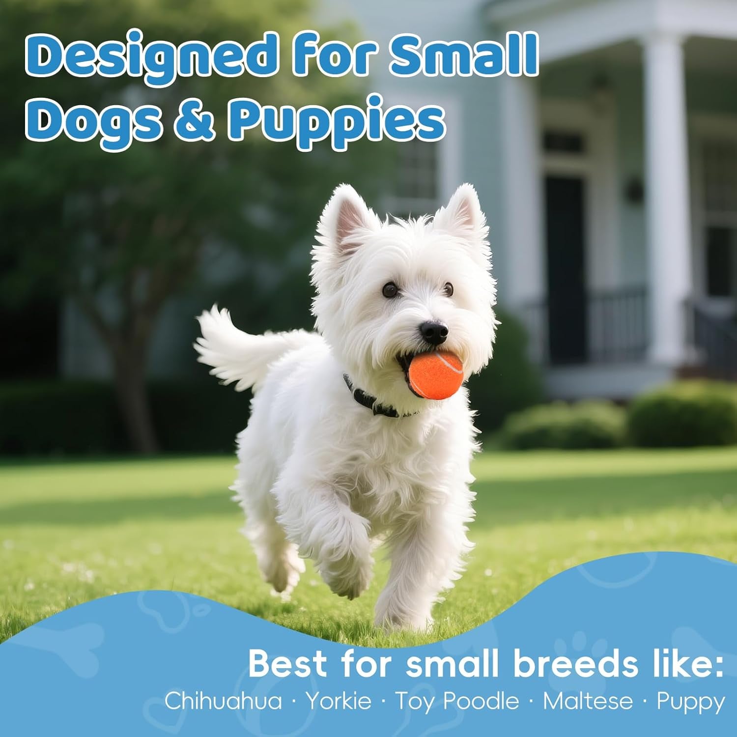 40 Pack 2 Inch Dog Tennis Balls, Small Tennis Balls for Dogs, Dog Safe Non-Abrasive Felt, Bulk Puppy Tennis Ball Set for Small Dogs,With Mesh Bag for Easy Transport(Multicolor