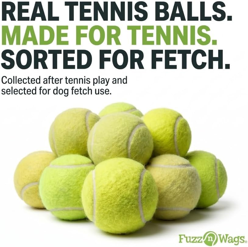 Endless Fetch Box, 100 Tennis Balls for Dogs, Recycled Real Tennis Balls, Bulk Tennis Balls for Dogs, Recycled Used Tennis Balls for Fetch & Supervised Dog Play