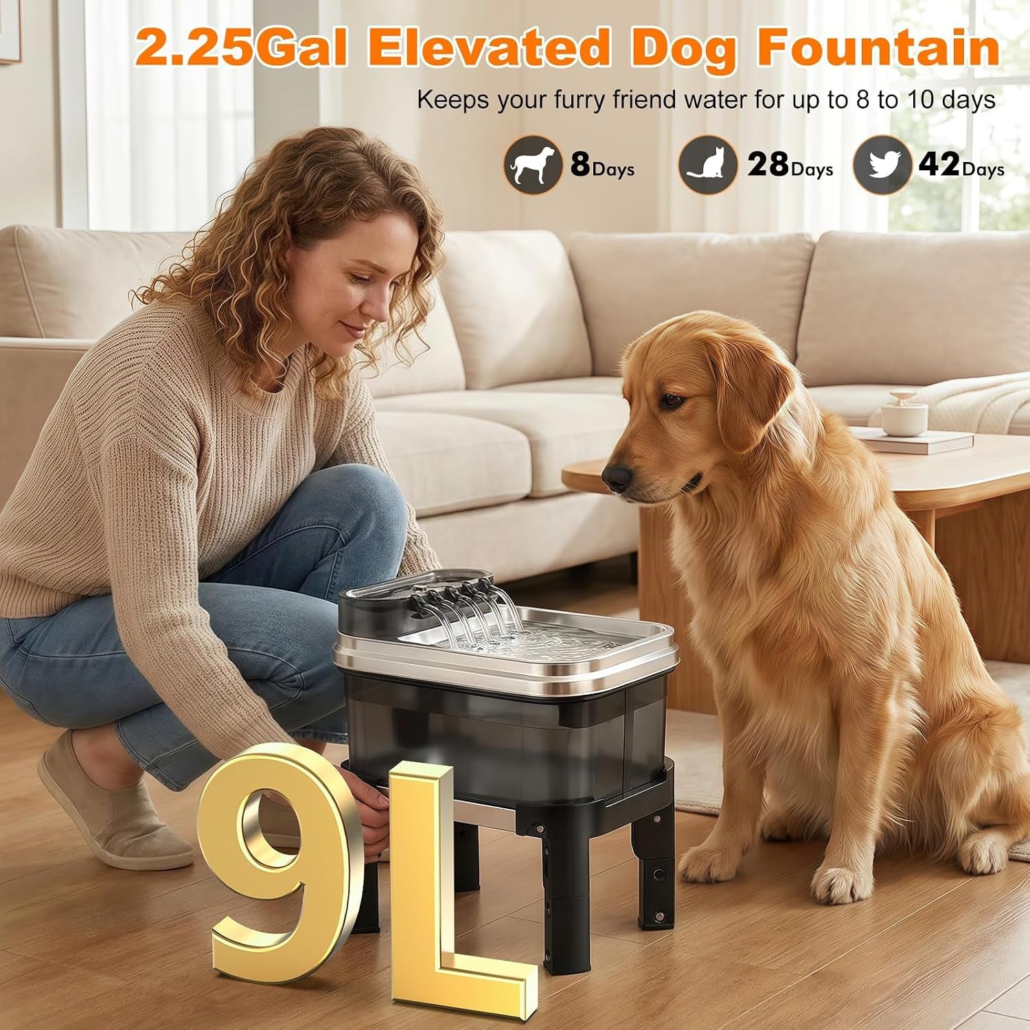 9L Elevated Stainless Steel Dog Water Fountain with Filter | 4-Level Adjustable Indoor Pet Water Fountain with Quiet Pump and No-Spill Design for Small, Medium, and Large Dogs