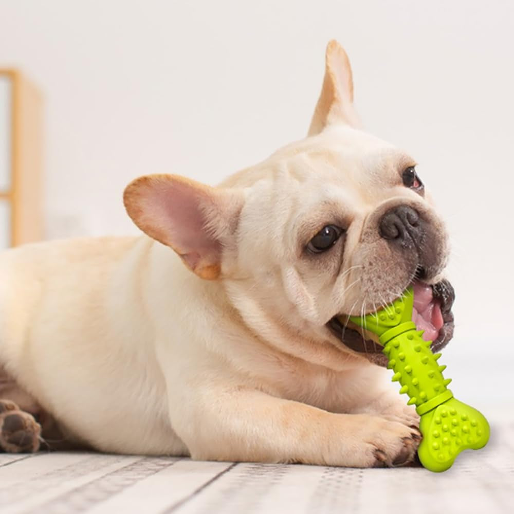Bone Shape Dog Squeaky Toys, Durable Dog Chew Toys for Aggressive Chewers, Puppy Teething Toys for Small/Medium Dogs Natural Rubber Puppy Chew Toys for Teething