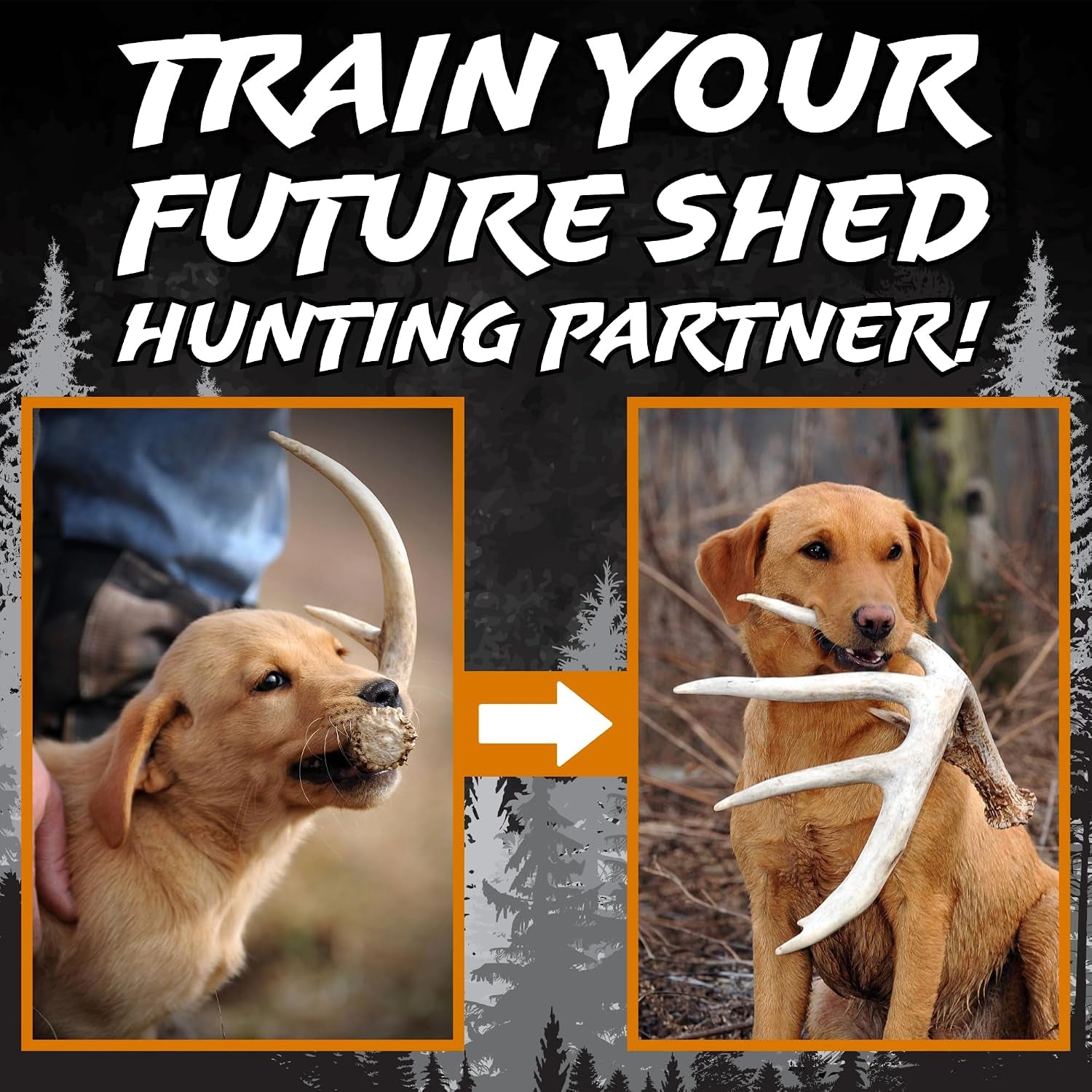 Shed Hunting Dog Training Kit – Train Your Puppy to Find Deer Antlers - Includes 2 Oz Scent for Nosework & Flexible Floating Dummy for Retrieving - Perfect for Whitetail Hunters
