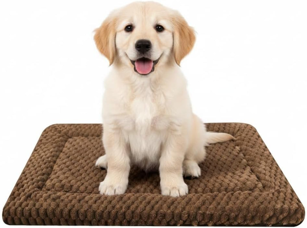 Dog Bed Mat, Reversible Dog Crate Pad for Small Medium Dogs & Cats, Soft Washable Kennel Mat with Non-Slip Bottom, Lightweight Pet Bed for Crate, Cage, Home and Travel(Gray Star, 24" L*18" W*1.5" Th)
