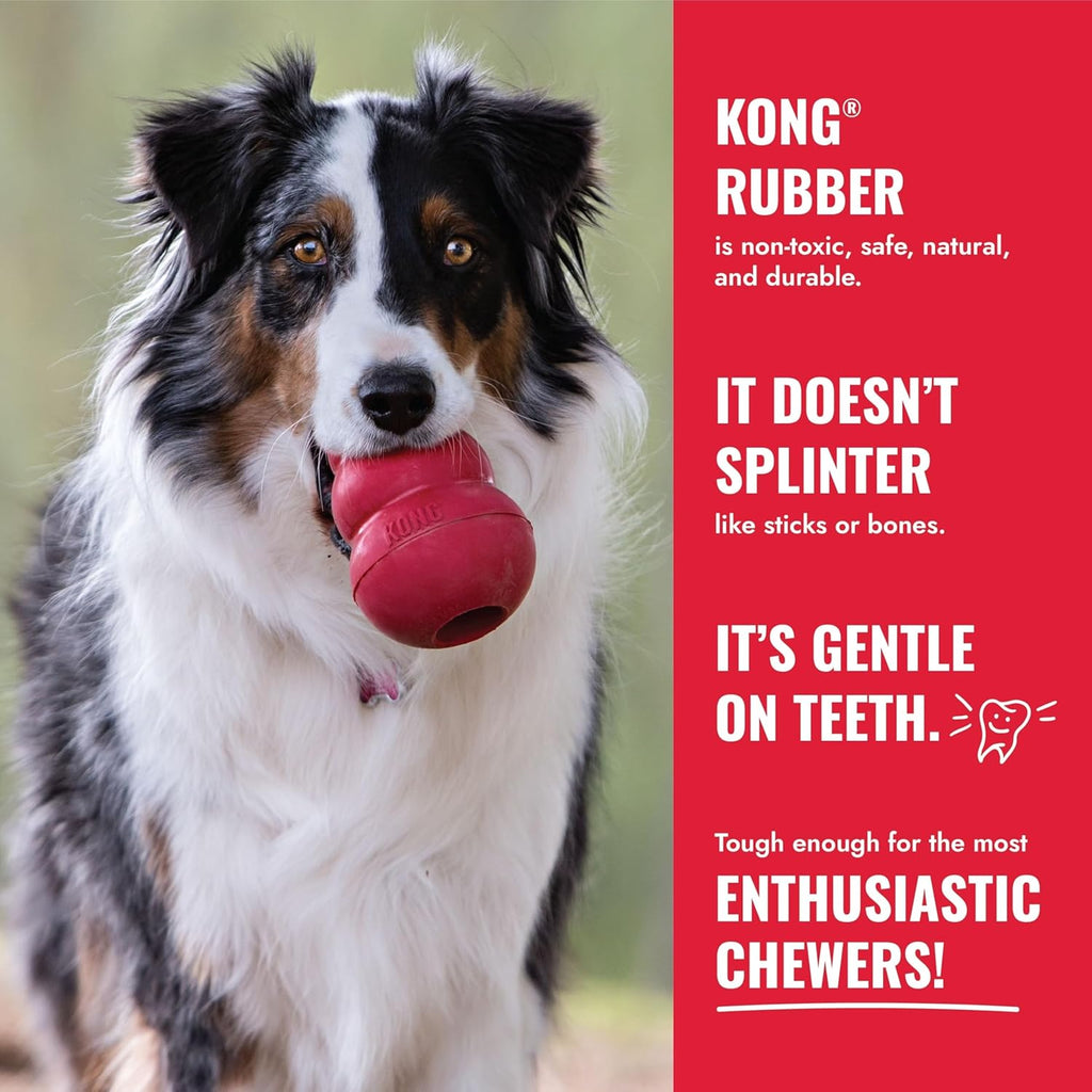 Ball with Hole - Durable Dog Fetch Toy for Training, Interactive Playtime & More - Classic Natural Rubber Ball - Red - for Large/X-Large Dogs