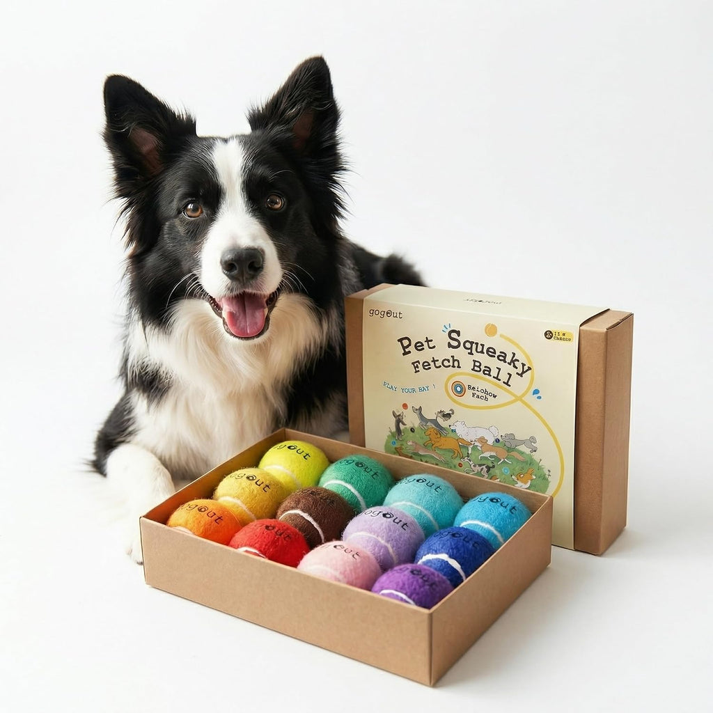 Squeaky Fetch Balls for Dogs, Rainbow Dog Ball Box, Multicolor Tennis Balls for Dogs, 12 Count Gift-Ready Set, 2.5 Inch Large