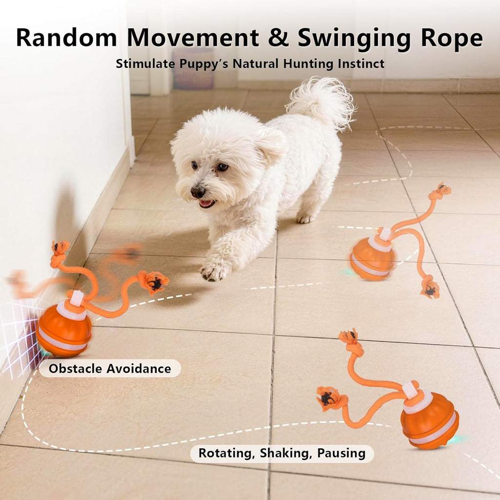Interactive Dog Toys Ball, 3 Modes & Powerful Motor, Random Movement & Swinging Rope, Bird Chirping Stimulate, USB C Rechargeable for Small Medium Dogs for Boredom, Anxiety Relief