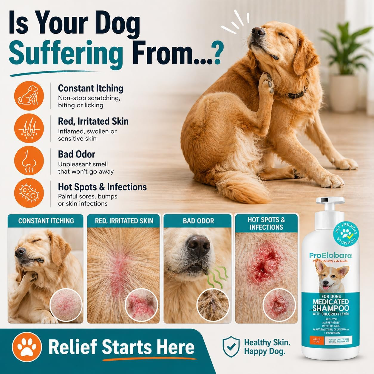 Medicated Dog Shampoo for Allergies and Itching: Antifungal Dog Shampoo, Yeast Infection and Bacterial Treatment for Dogs - Helps Hot Spots, Deodorizing and anti Itch - Healthy Skin & Coat 16 OZ