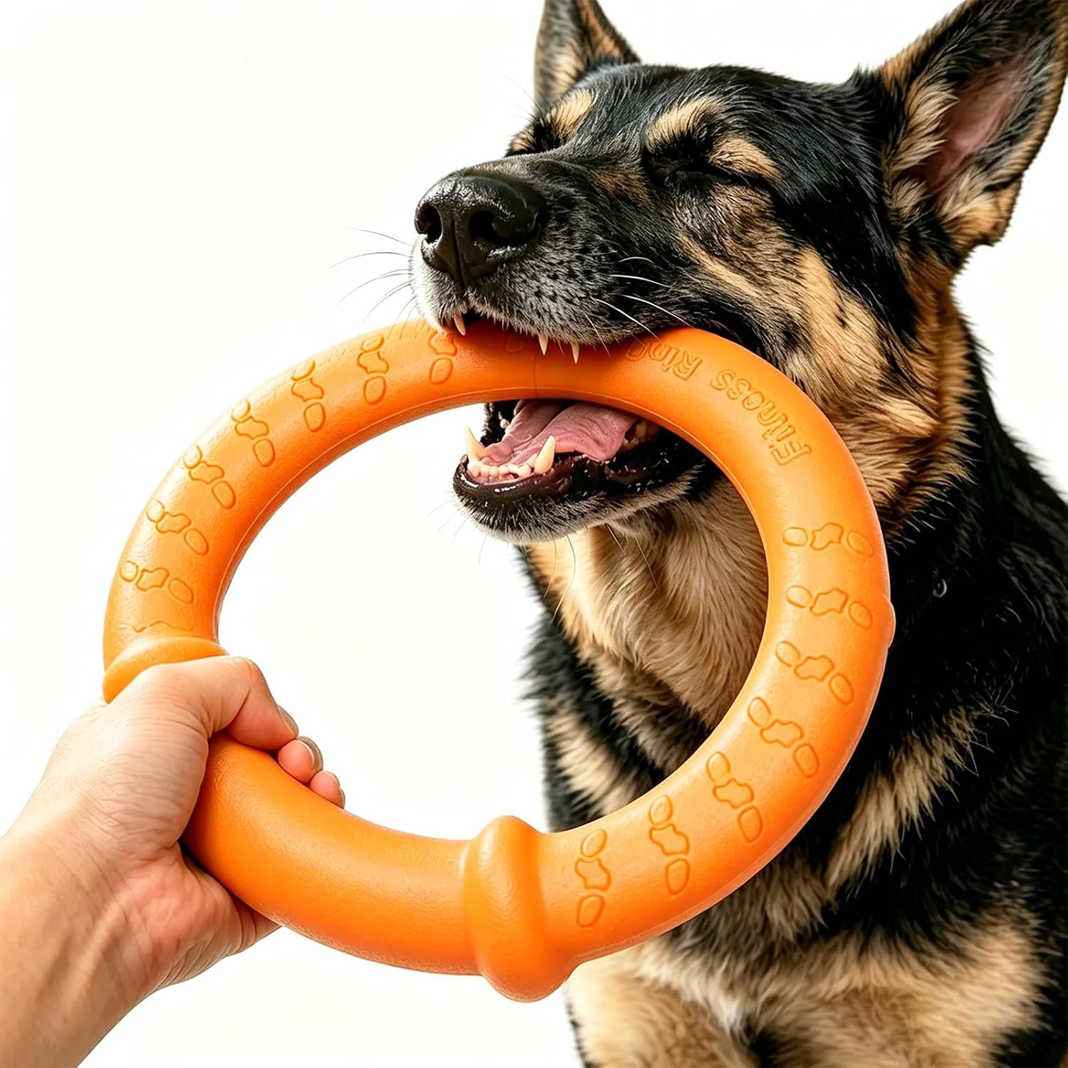 Dog Ring Toy, Durable Soft Flying Disc for Throwing Catching Grabbing, Water Floating Dog Training Fetch Ring for Medium Large Breeds, Outdoor (Green/11.8Inch)