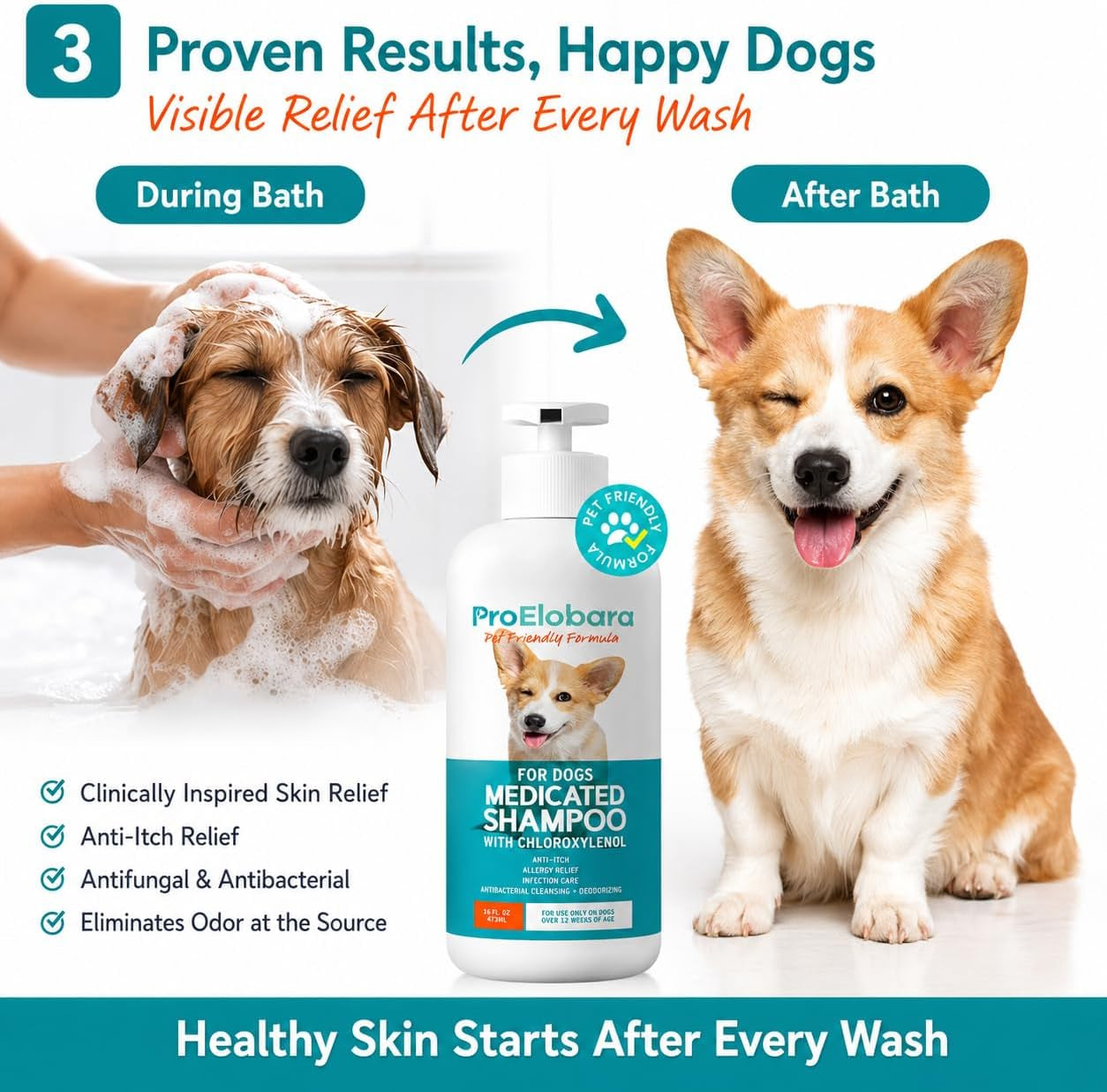 Medicated Dog Shampoo for Allergies and Itching: Antifungal Dog Shampoo, Yeast Infection and Bacterial Treatment for Dogs - Helps Hot Spots, Deodorizing and anti Itch - Healthy Skin & Coat 16 OZ