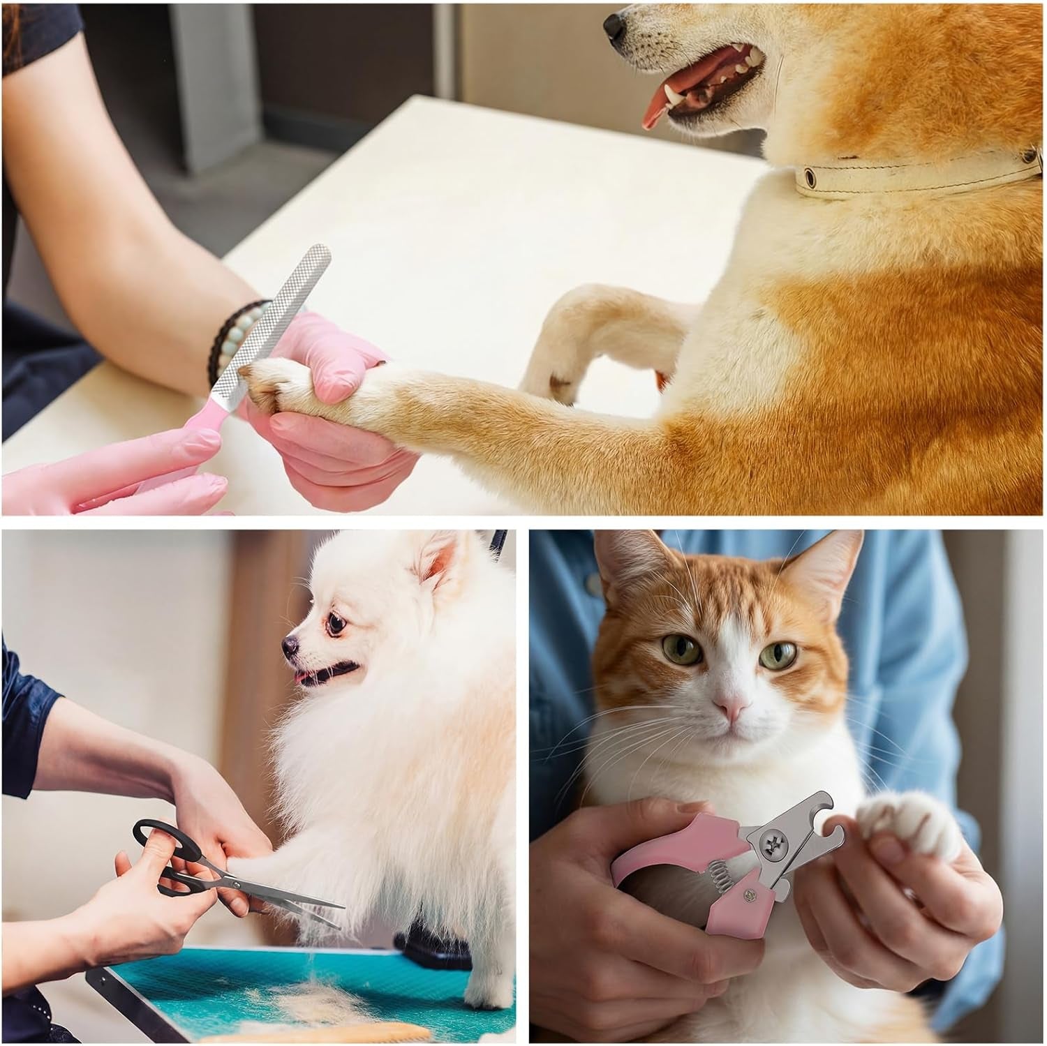 Dog Brush Grooming Kit 9 Pcs Kit with Pet Nail Clipper and File Cat Grooming Deshedding Undercoat Rake Comb for All Breeds Sizes Promotes Healthy Skin Coat(Fresh Color)