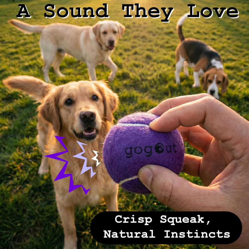 Squeaky Fetch Balls for Dogs, Rainbow Dog Ball Box, Multicolor Tennis Balls for Dogs, 12 Count Gift-Ready Set, 2.5 Inch Large