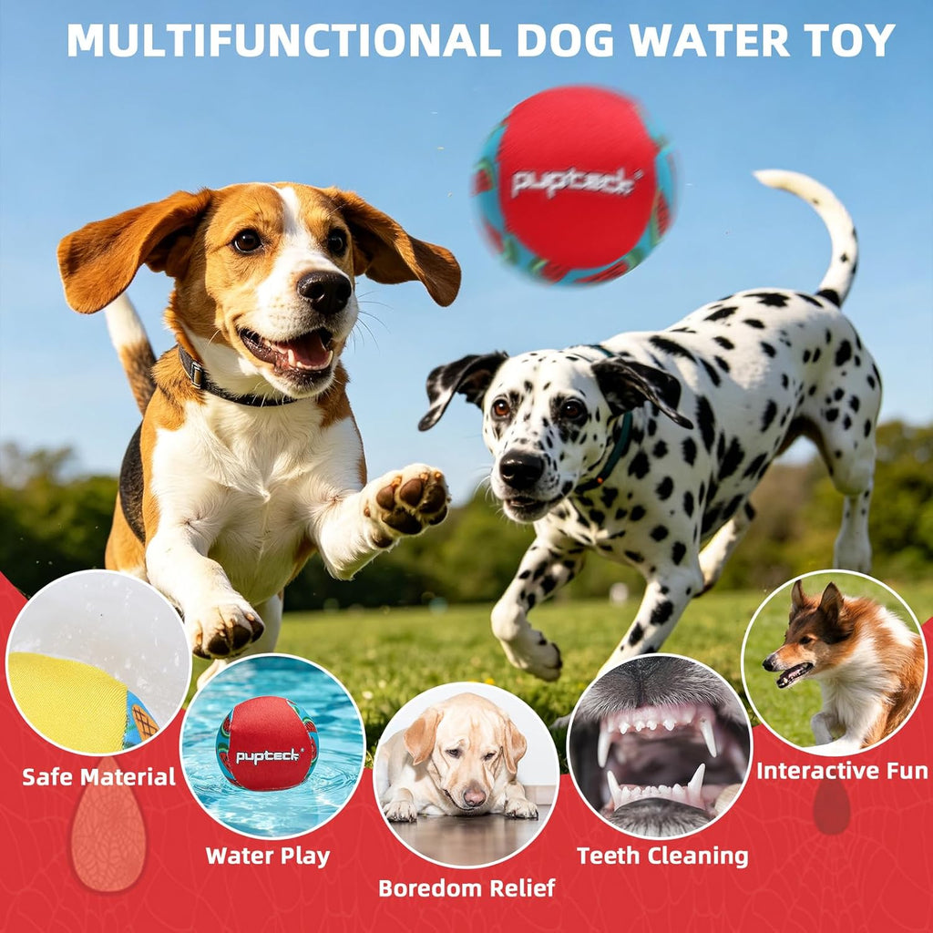Floating Dog Pools Water Toys, Bouncing Balls 2 Pack for Summer Swimming Pool Games, Interactive Puppy Training Toy with Cute Pineapple and Watermelon Pattern