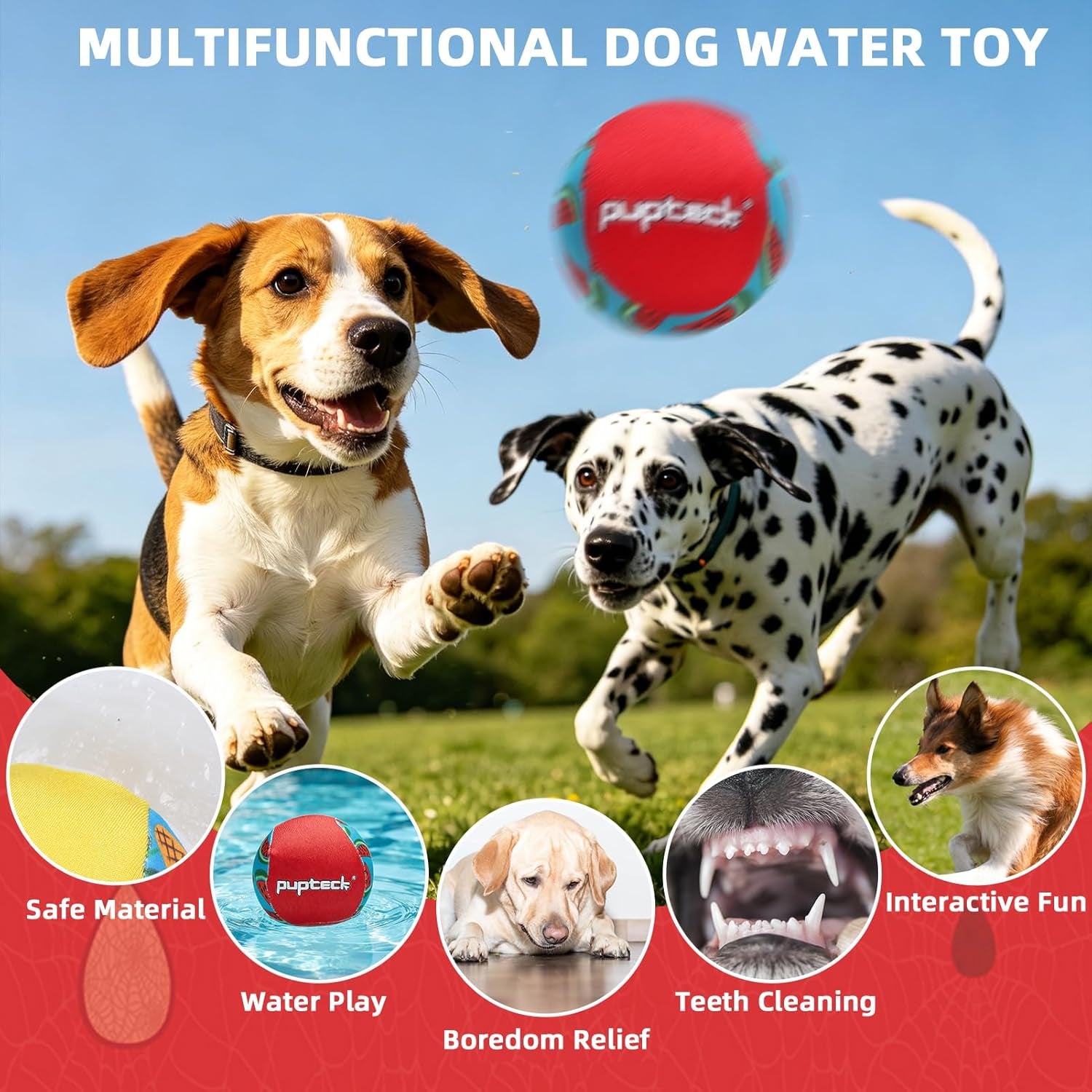 Floating Dog Pools Water Toys, Bouncing Balls 2 Pack for Summer Swimming Pool Games, Interactive Puppy Training Toy with Cute Pineapple and Watermelon Pattern