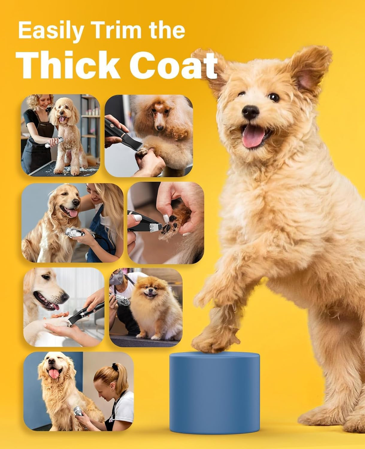 Dog Grooming Kit for Thick/Matted Hair with Stainless Steel Blade | Powerful Motor, Dog Clippers+Paw Trimmers, IPX7 Waterproof, Low Noise, Cordless & Long Battery Life