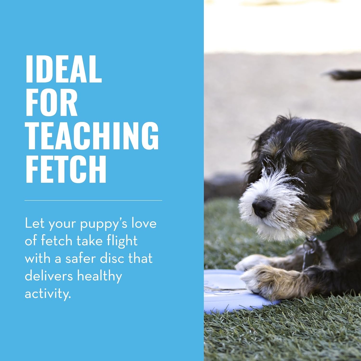 Puppy Flyer - Soft Rubber Flyer Dog Toy - Flying Disc Dog Toy - Gentle Rubber Toy for Growing Puppies - for Small Puppies - Randomly Provided Color