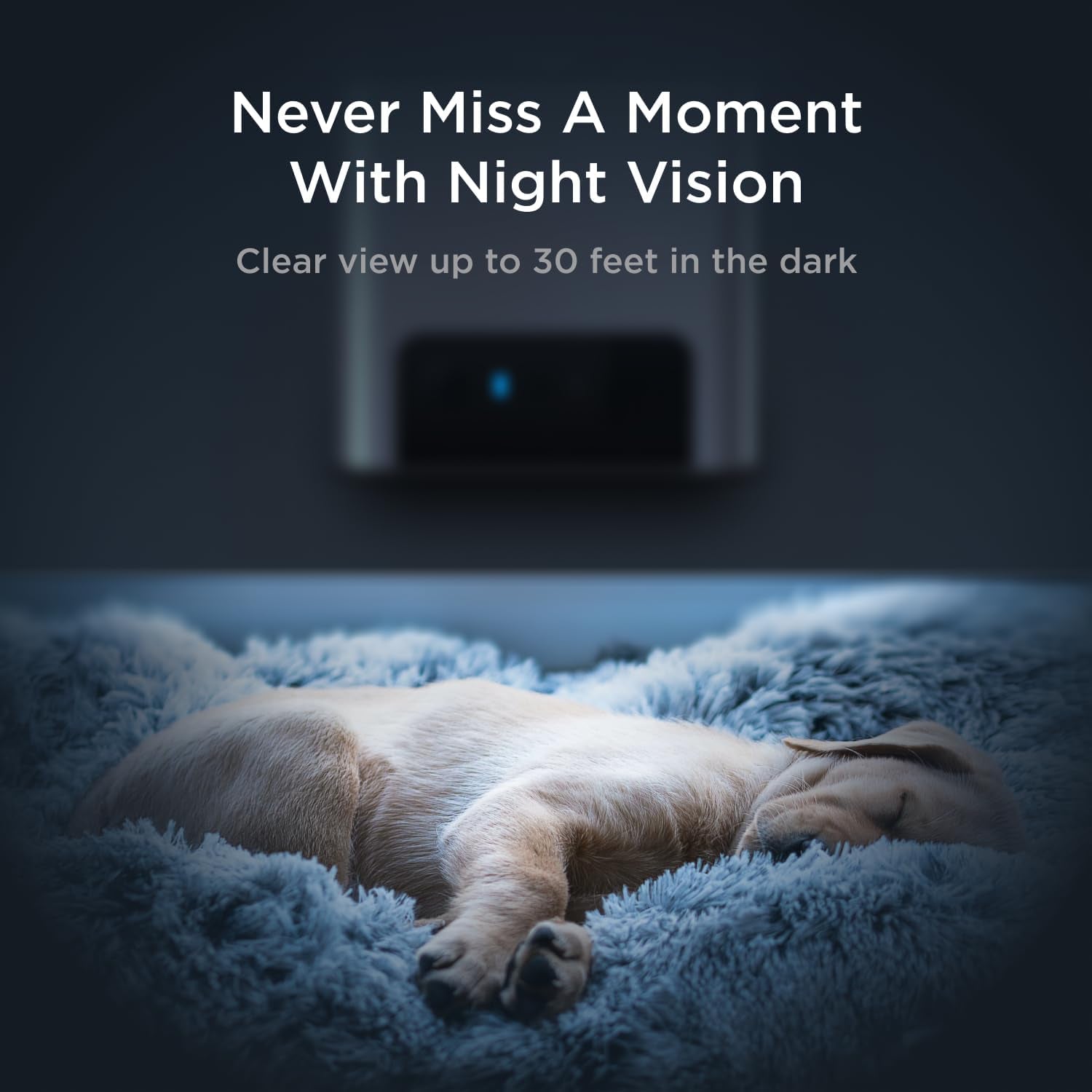 Bites 2 Lite Interactive Wifi Pet Monitoring Camera with Phone App and Treat Dispenser, 1080P HD Video, Night Vision, Two-Way Audio, Sound and Motion Alerts, Cat and Dog Monitor