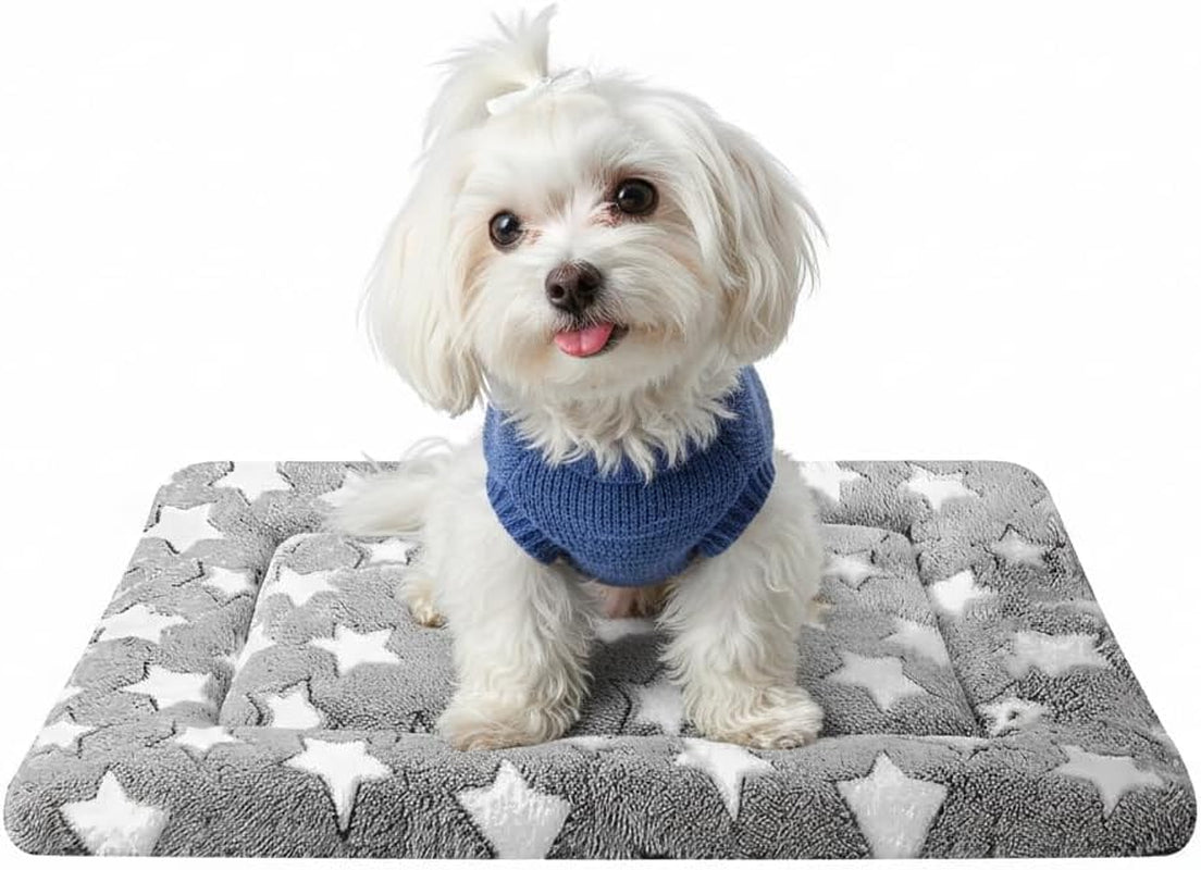 Dog Bed Mat, Reversible Dog Crate Pad for Small Medium Dogs & Cats, Soft Washable Kennel Mat with Non-Slip Bottom, Lightweight Pet Bed for Crate, Cage, Home and Travel(Gray Star, 24" L*18" W*1.5" Th)