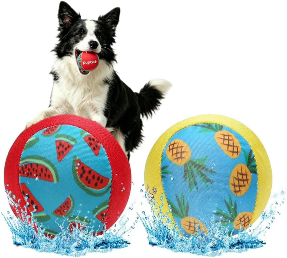Floating Dog Pools Water Toys, Bouncing Balls 2 Pack for Summer Swimming Pool Games, Interactive Puppy Training Toy with Cute Pineapple and Watermelon Pattern