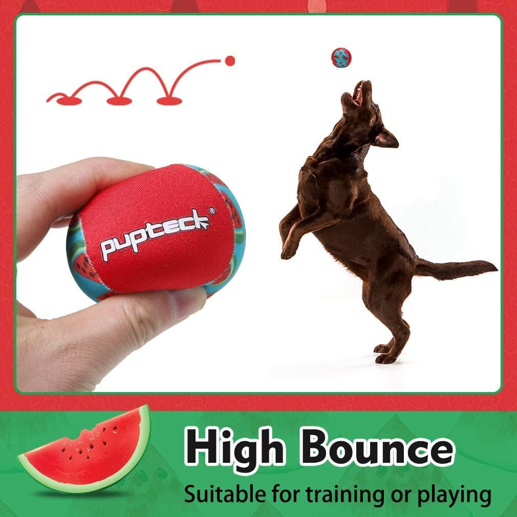 Floating Dog Pools Water Toys, Bouncing Balls 2 Pack for Summer Swimming Pool Games, Interactive Puppy Training Toy with Cute Pineapple and Watermelon Pattern