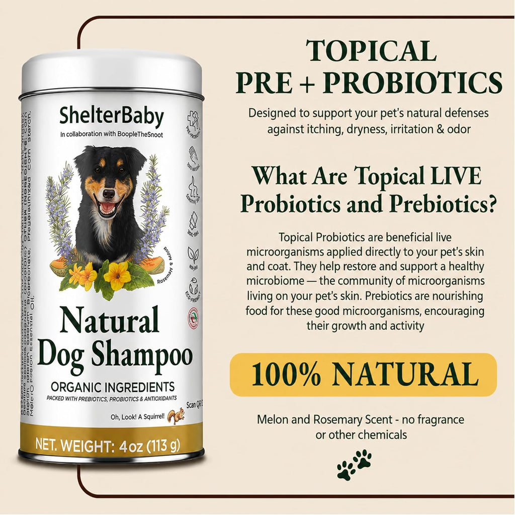 Dry Shampoo for Dogs – Antifungal Itchy Skin & Hot Spot Relief, Yeast Infection & Paw Licking Treatment, Dog Powder with Allergy Support & Odor Relief