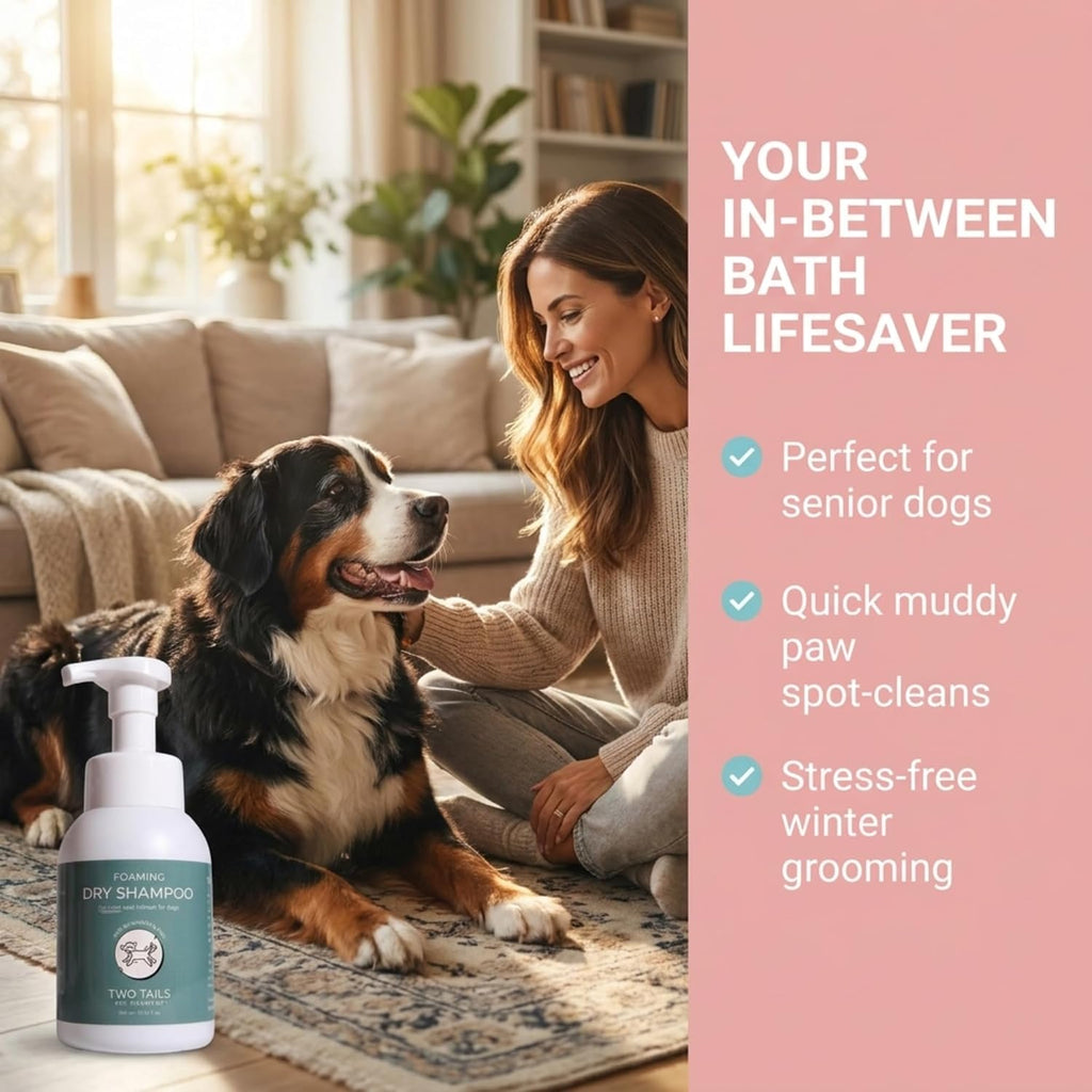 Two Tails Foaming Dry Dog Shampoo, Waterless No-Rinse, 10.55 FL OZ | Coat Refresher & Deodorizing Foam; Gentle for Sensitive Skin; No-Rinse Waterless Formula.