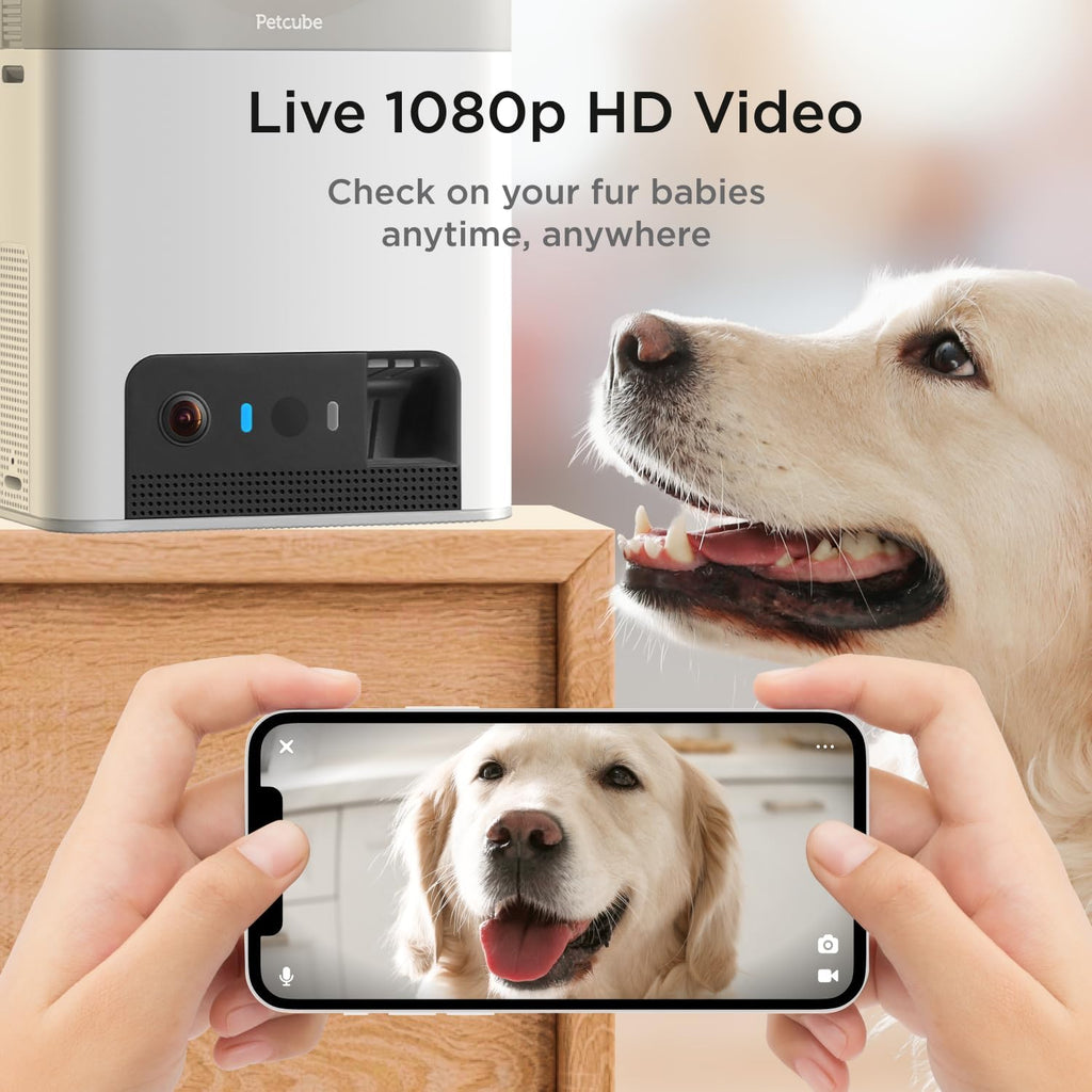 Bites 2 Lite Interactive Wifi Pet Monitoring Camera with Phone App and Treat Dispenser, 1080P HD Video, Night Vision, Two-Way Audio, Sound and Motion Alerts, Cat and Dog Monitor