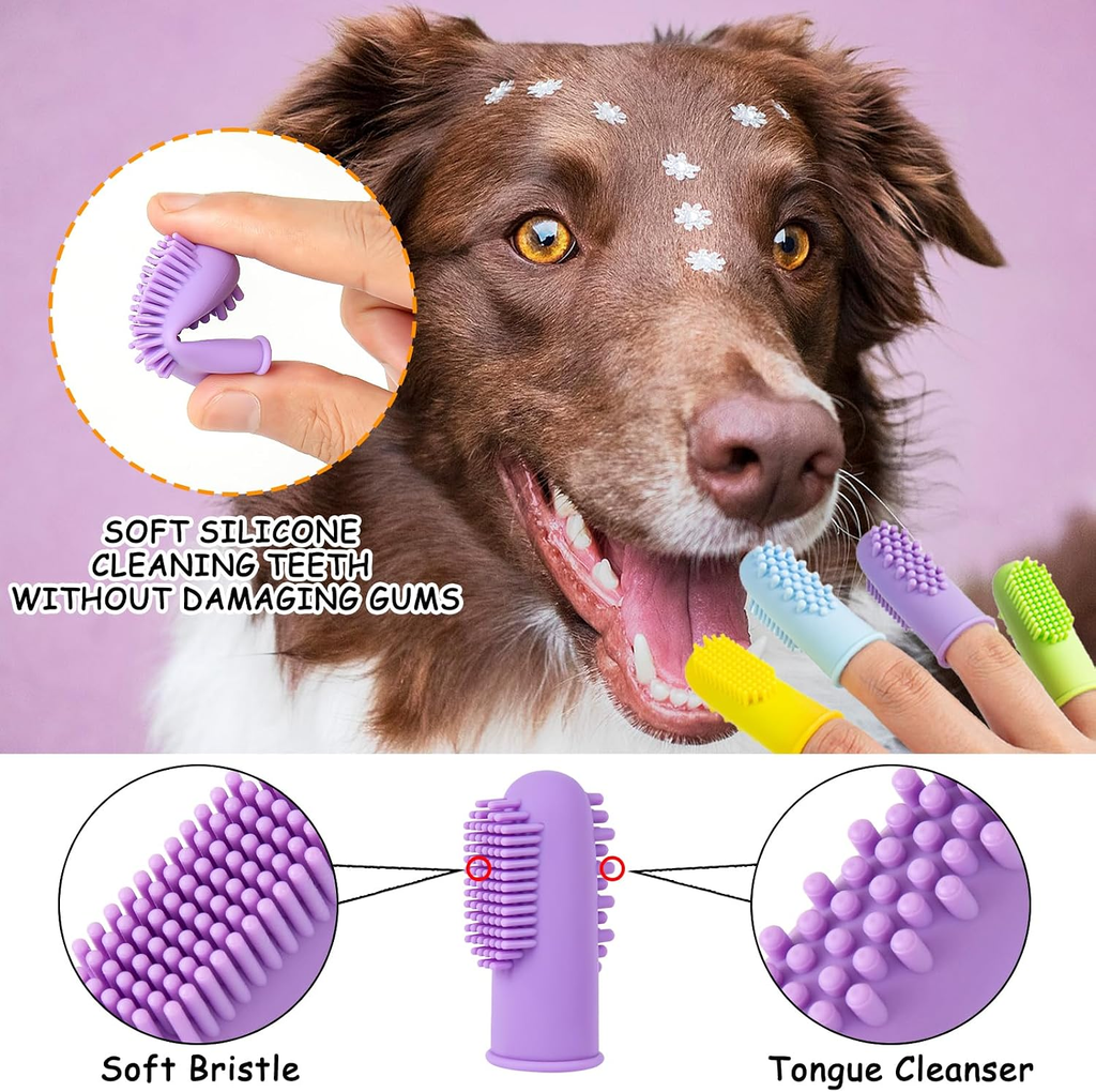 Dog with open mouth, showing teeth, with soft silicone cleaning tools and close-up of tool on a purple background.