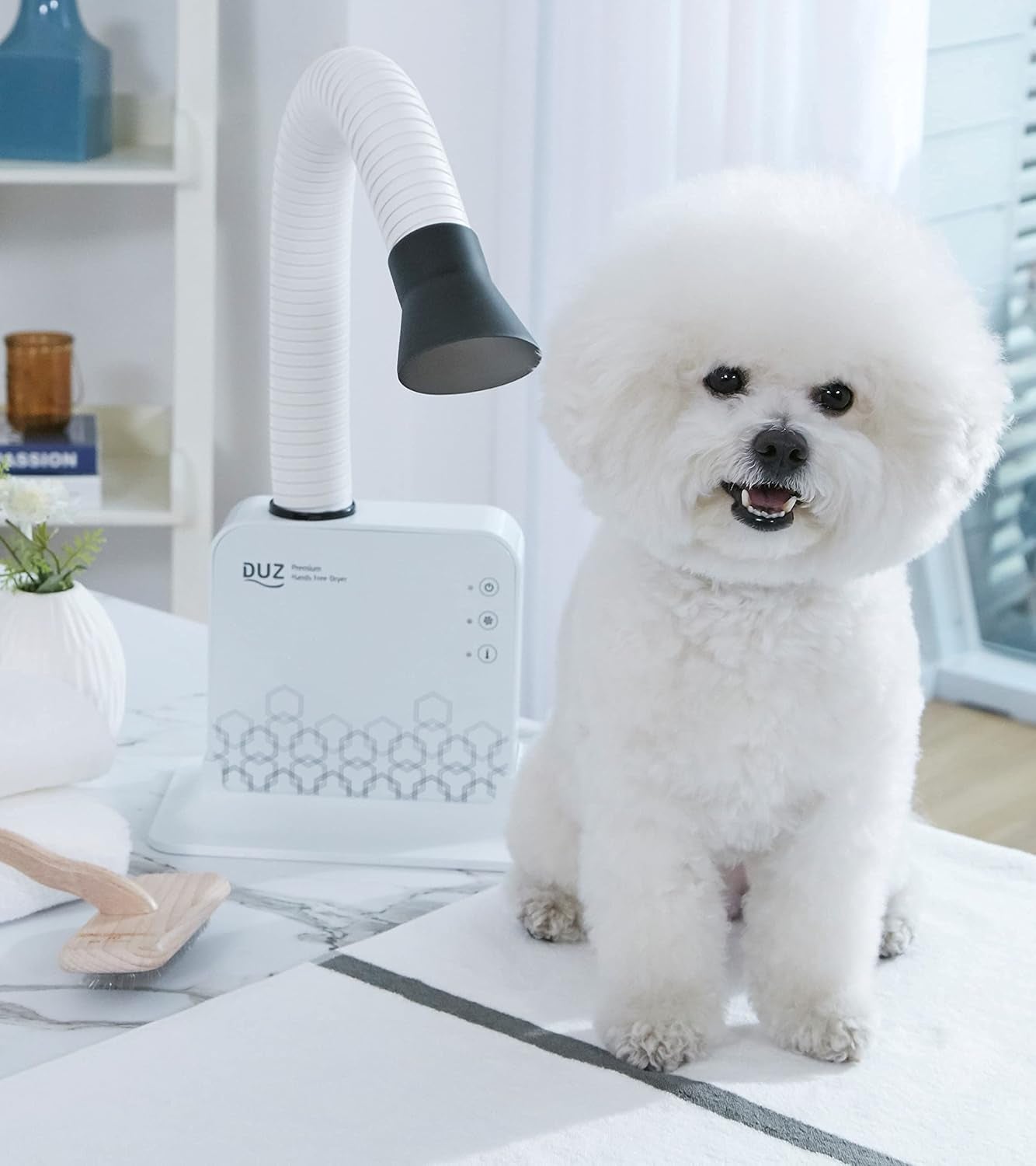 V2 Super Quiet Hands-Free Pet Dryer: Low-Noise Dog Dryer for Grooming, Reduces Labor & Stress, Ideal for Small Dogs and Cats, 1-Year Warranty