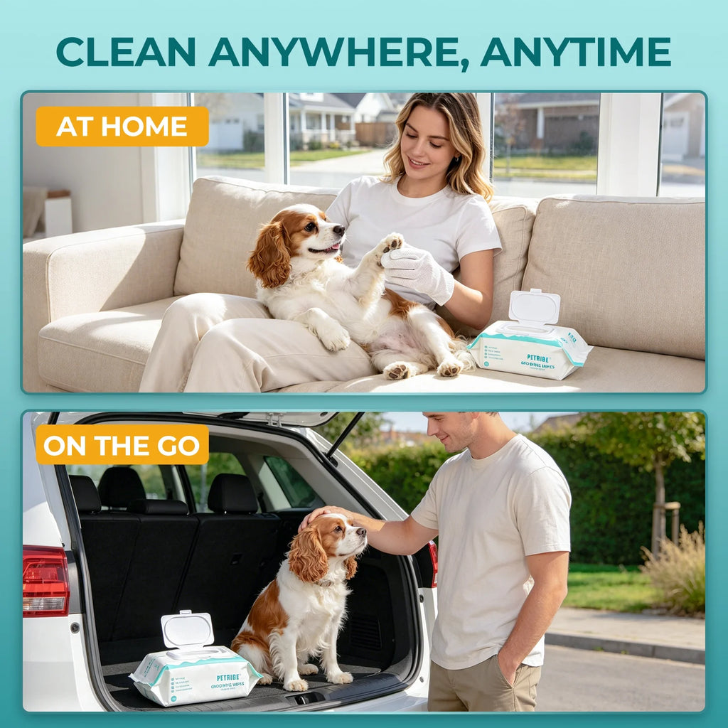 Dog Wipes Cleaning Deodorizing Glove Wipes for Dogs & Cats, 48 Pcs, Coconut Scent, Hypoallergenic Hydrating & Nourish Fur Pet Grooming Glove Wipes, Daily Care & Traveling