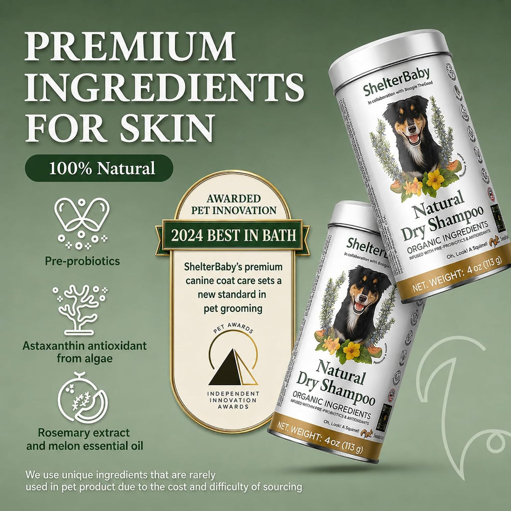 Dry Shampoo for Dogs – Antifungal Itchy Skin & Hot Spot Relief, Yeast Infection & Paw Licking Treatment, Dog Powder with Allergy Support & Odor Relief