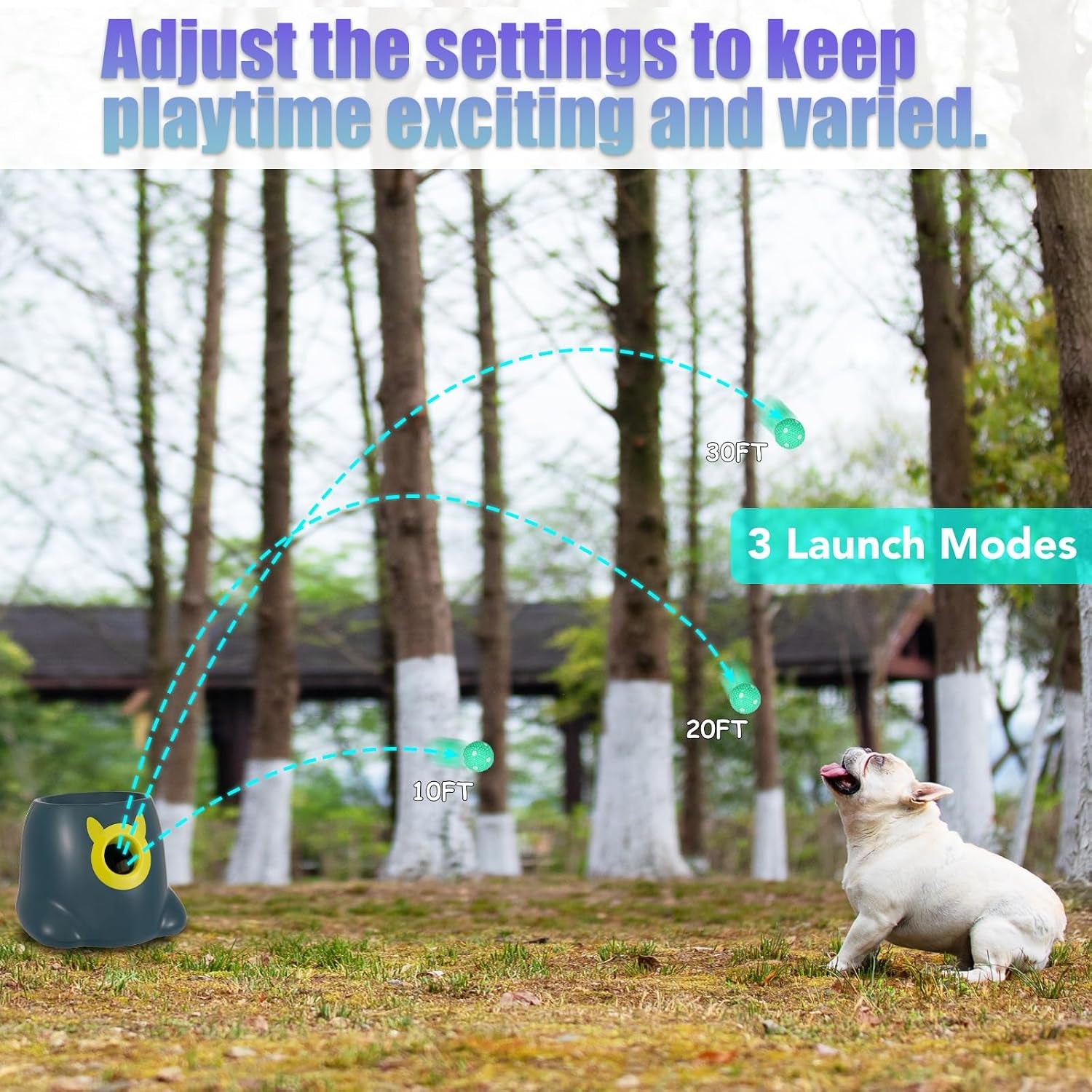 Automatic Ball Launcher for Dogs, Dog Fetch Ball Thrower Launcher, 3 Adjustable Distances, Interactive Pet Self Playing for Small Dogs and Puppies with 10 Balls (2 Inches)