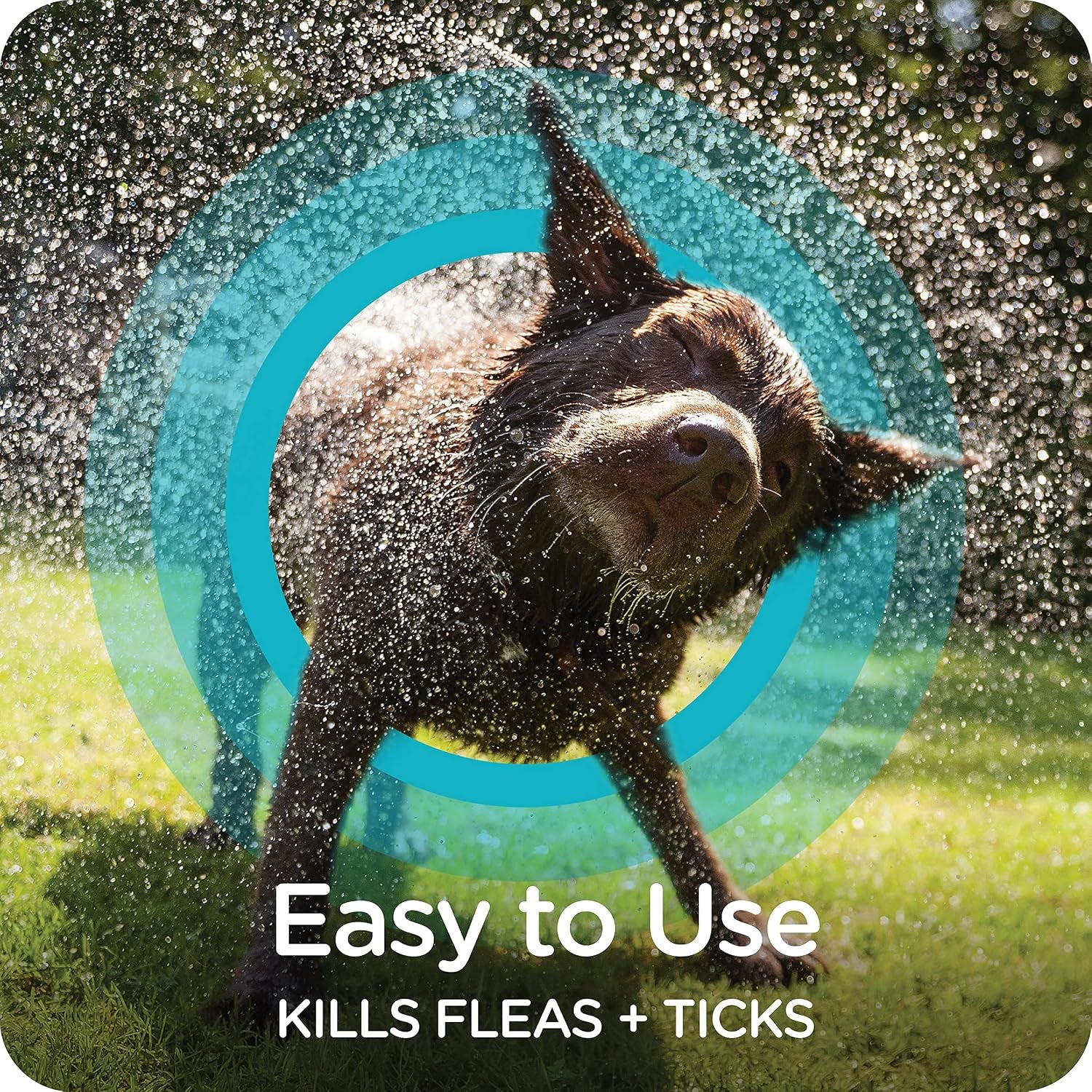 Guardian Flea & Tick Shampoo Dogs, Kills Eggs 30 Days, 18Oz | Ideal for Dogs & Puppies 12 Weeks+; Cleans, Conditions & Deodorizes; 18 Oz Bottle for Multiple Washes