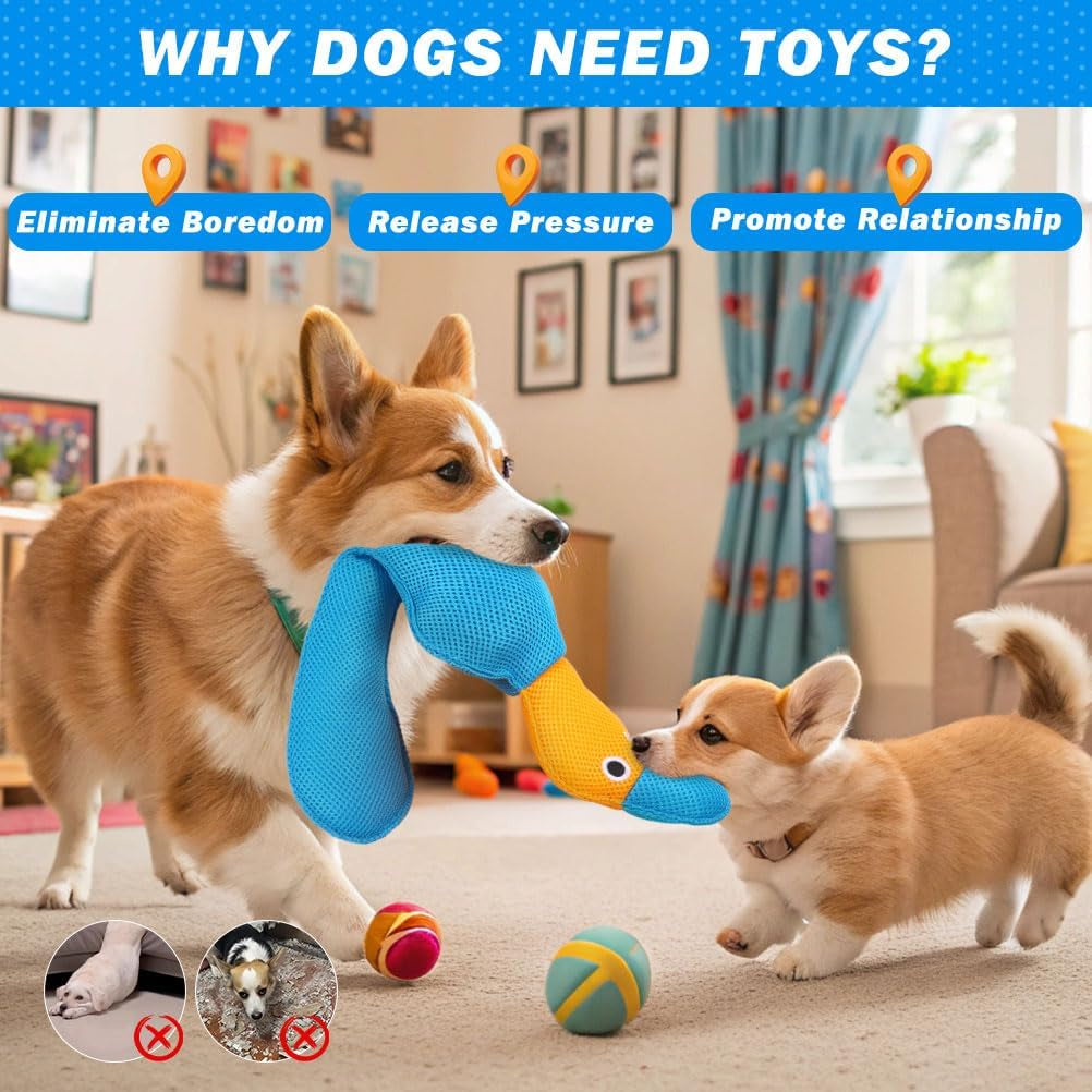 Floating Dog Water Pool Toys - 2 Pack Stuffed Duck Dog Toys Long, Pet Summer Essentials for Fetch & Training, Built-In Squeaky Ball Loud Sound for Small Medium Large Breeds, 20.5 Inch