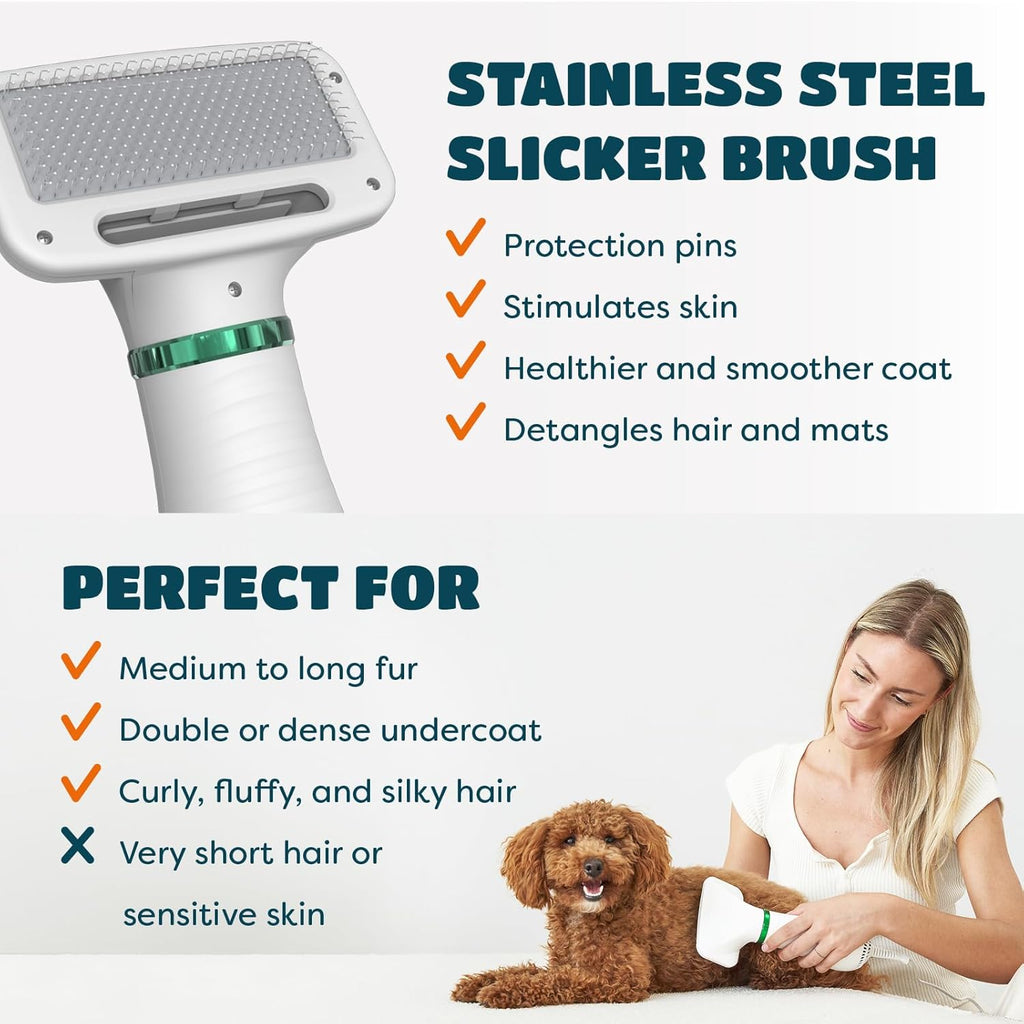 2-In-1 Dog Hair Dryer with Brush for Small Dogs and Cats, Pet Blow Dryer | Pet Grooming Dryer, Dry & Brush in One, 300 Watts, 75-85 Db, Adjustable Temperature, Overheat Protection, Portable