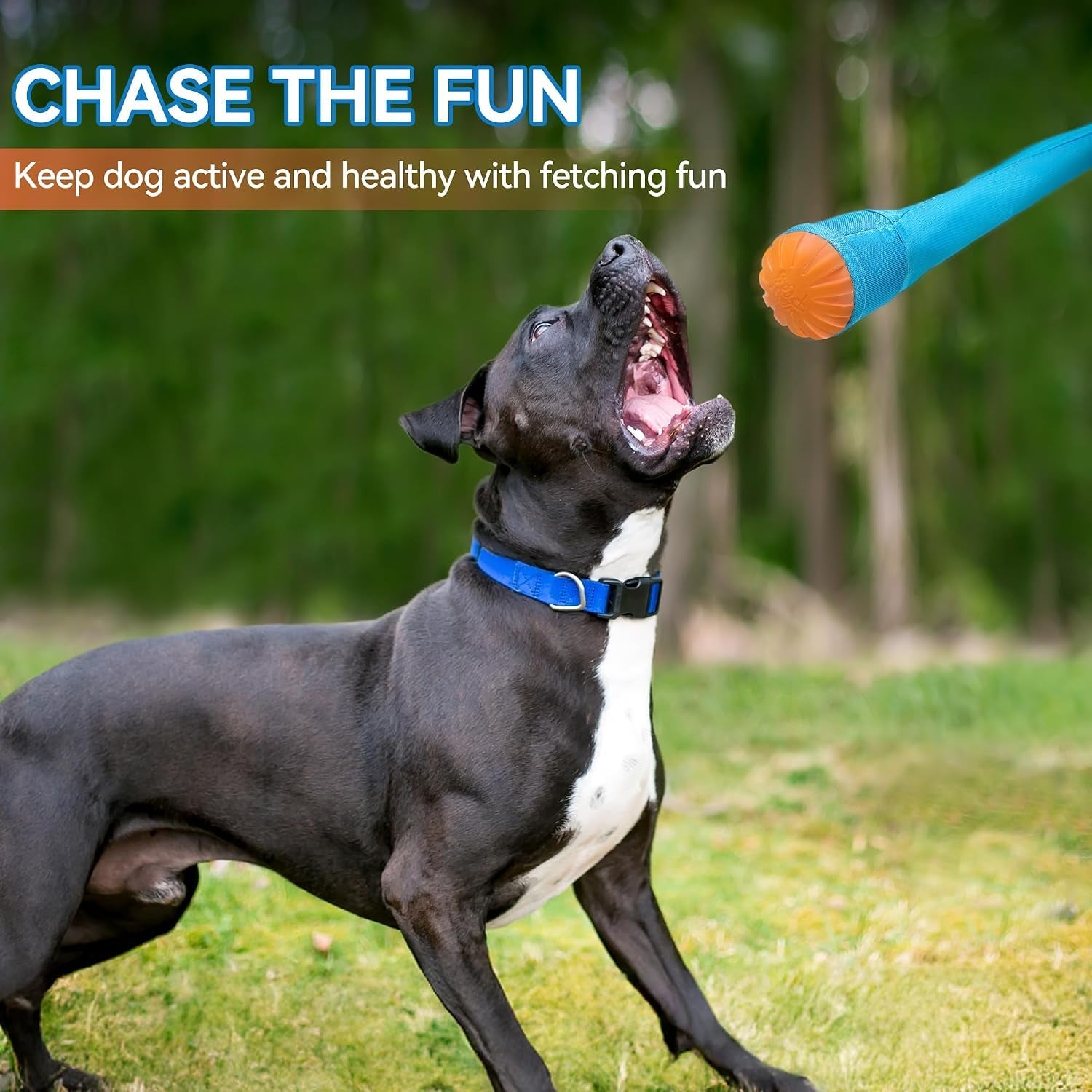 2-Pack Dog Ball Toy with Tail, Interactive Throw & Catch Toy for Medium & Large Dogs, Rubber Ball with Nylon Tail for Exercise & Boredom Relief
