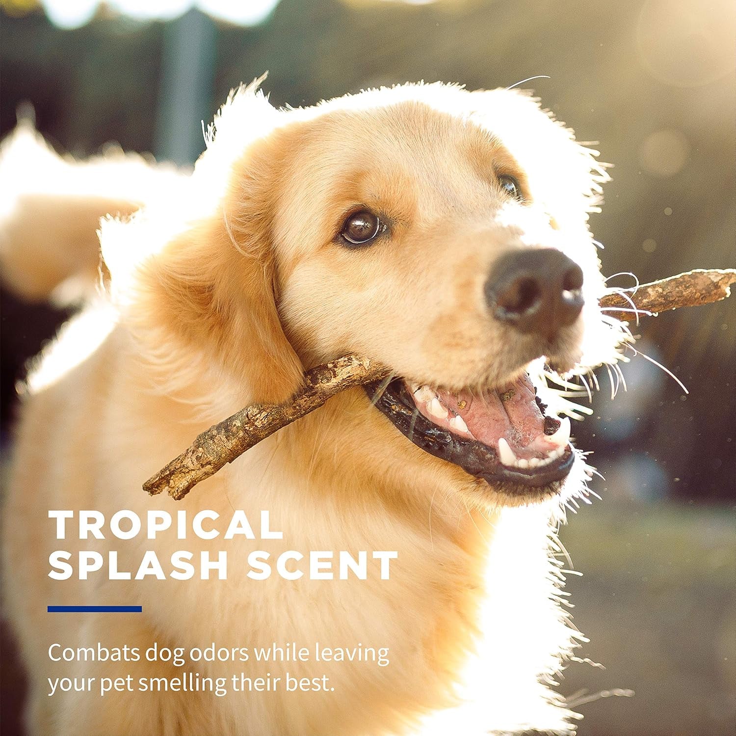 for Pets Deodorizing Dog Wipes with Baking Soda, Tropical Splash Scent - Multipurpose Deodorizing Pet Grooming Wipes in Resealable Canister, 50 Count - 12 Pack | Baking Soda Formula, Multipurpose Grooming Wipes, Resealable Canister, for Daily Deodorizing Use, Gentle