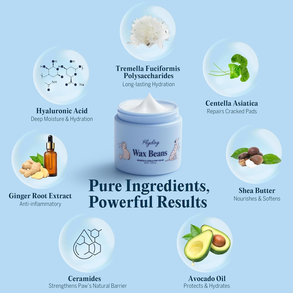 Lick-Safe Dog Paw Cream – Non-Greasy Paw Pad and Nose Balm for Dogs, Fast-Absorbing Avocado Plant Formula, Winter Paw Balm for Outdoor Dry Cracked Pads & Snout (50Ml)