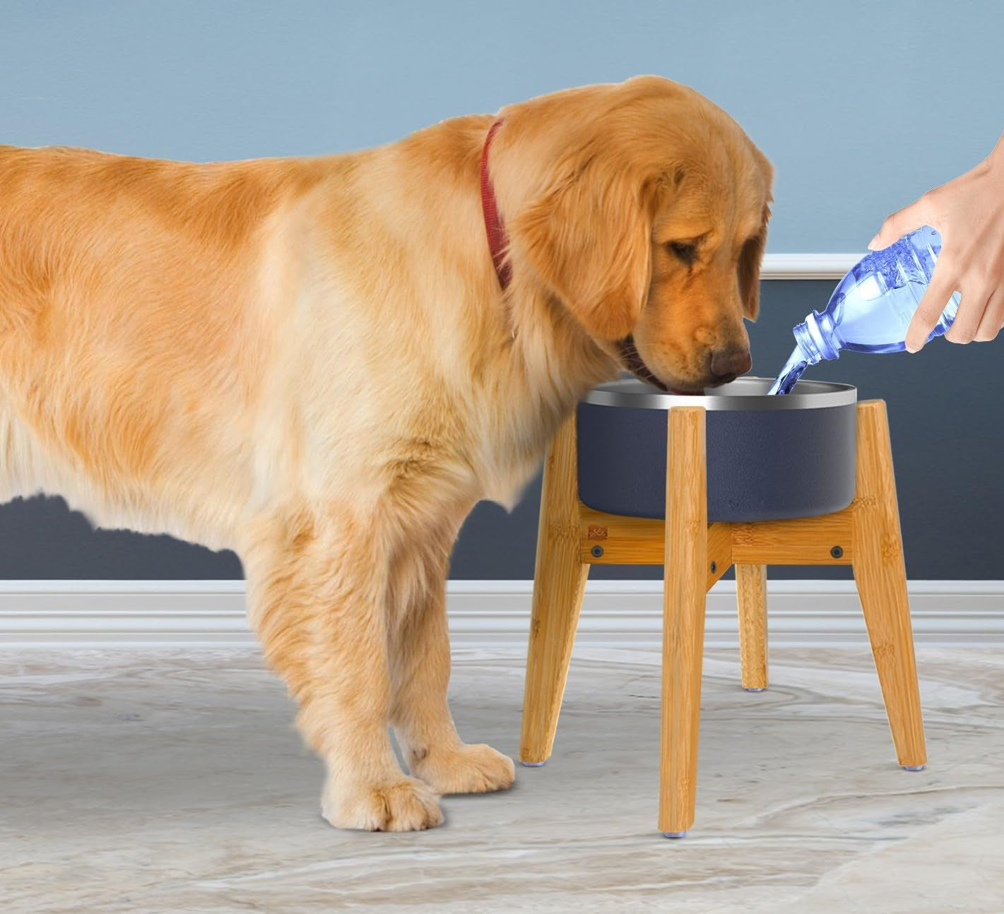 Dog Bowl Stand (12-Inch High) - Ideal for Large Breeds, Adjustable, Elevates, Raises Pet Food Feeders, Water Dishes, Fountains - (Bowls Not Included)