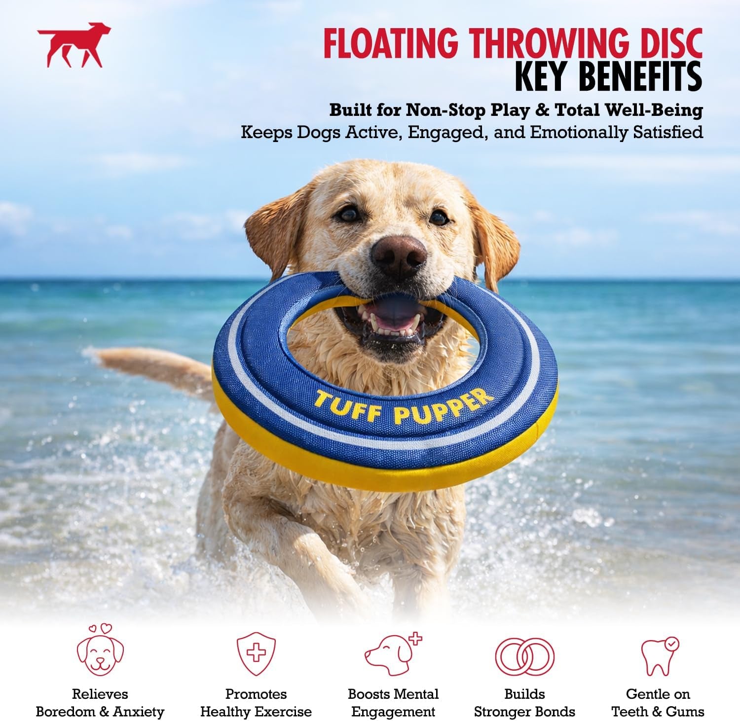 Floating Dog Frisbee Toy | Fetch Only Not a Chew Toy | Soft Foam Fetch Disc | High-Visibility Water & Snow Play | Gentle on Teeth | Lightweight Durable Outdoor Flying Toy